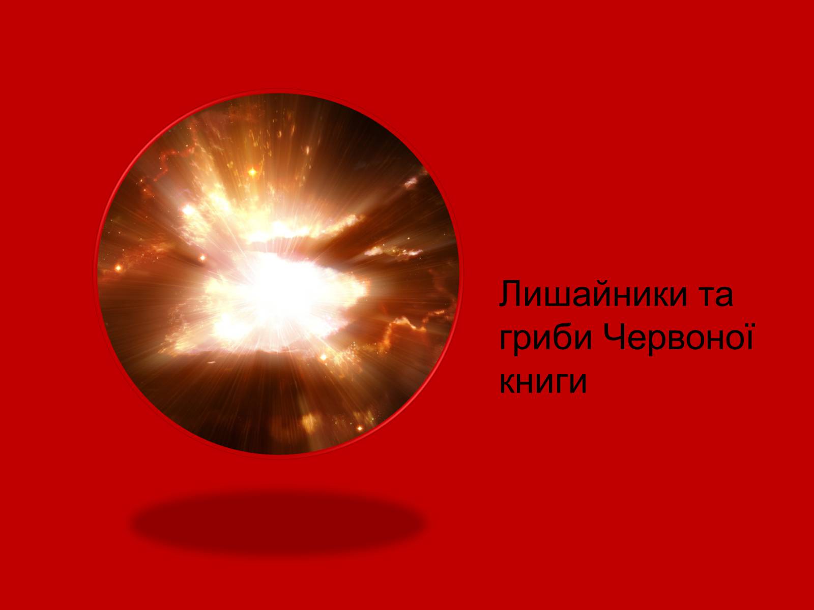 Презентація на тему «Тваринний і рослинний світ Червоної книги» - Слайд #19 Презентація на тему «Тваринний і рослинний світ Червоної книги» - Слайд #19