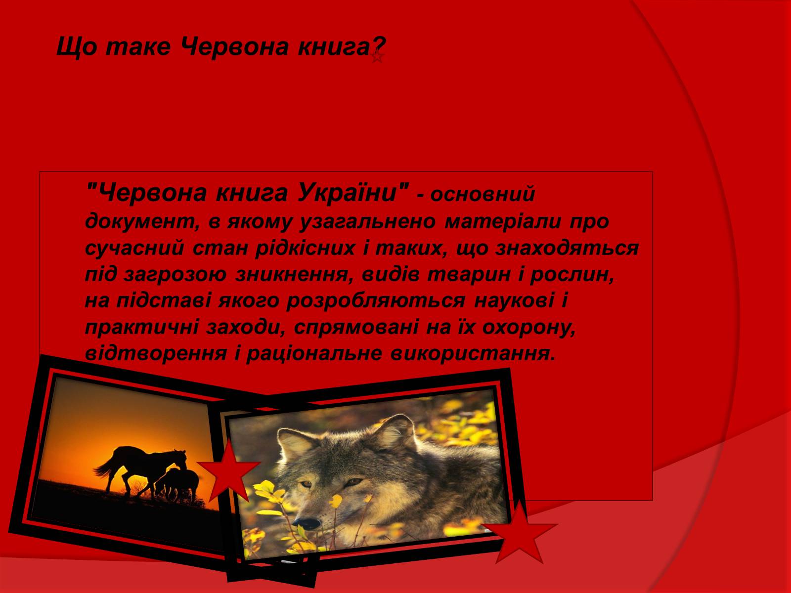 Презентація на тему «Тваринний і рослинний світ Червоної книги» - Слайд #2 Презентація на тему «Тваринний і рослинний світ Червоної книги» - Слайд #2
