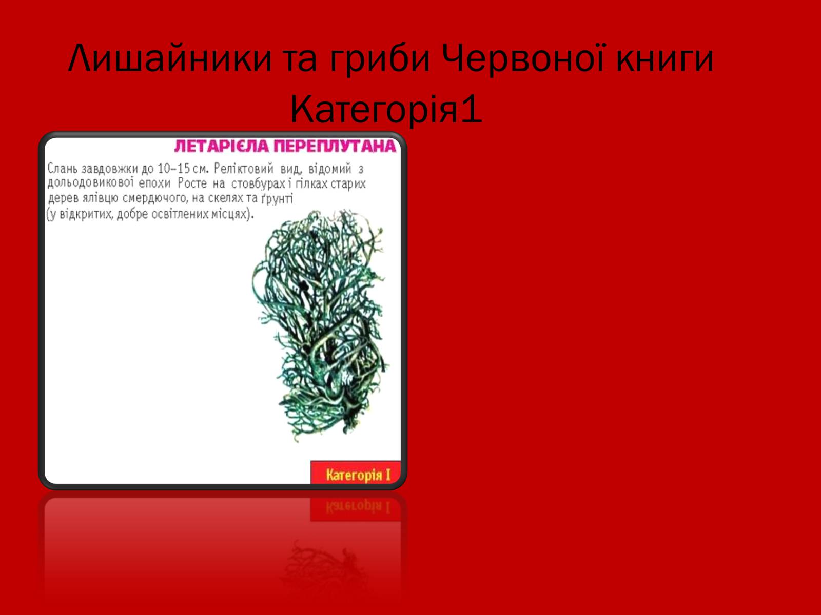 Презентація на тему «Тваринний і рослинний світ Червоної книги» - Слайд #20 Презентація на тему «Тваринний і рослинний світ Червоної книги» - Слайд #20