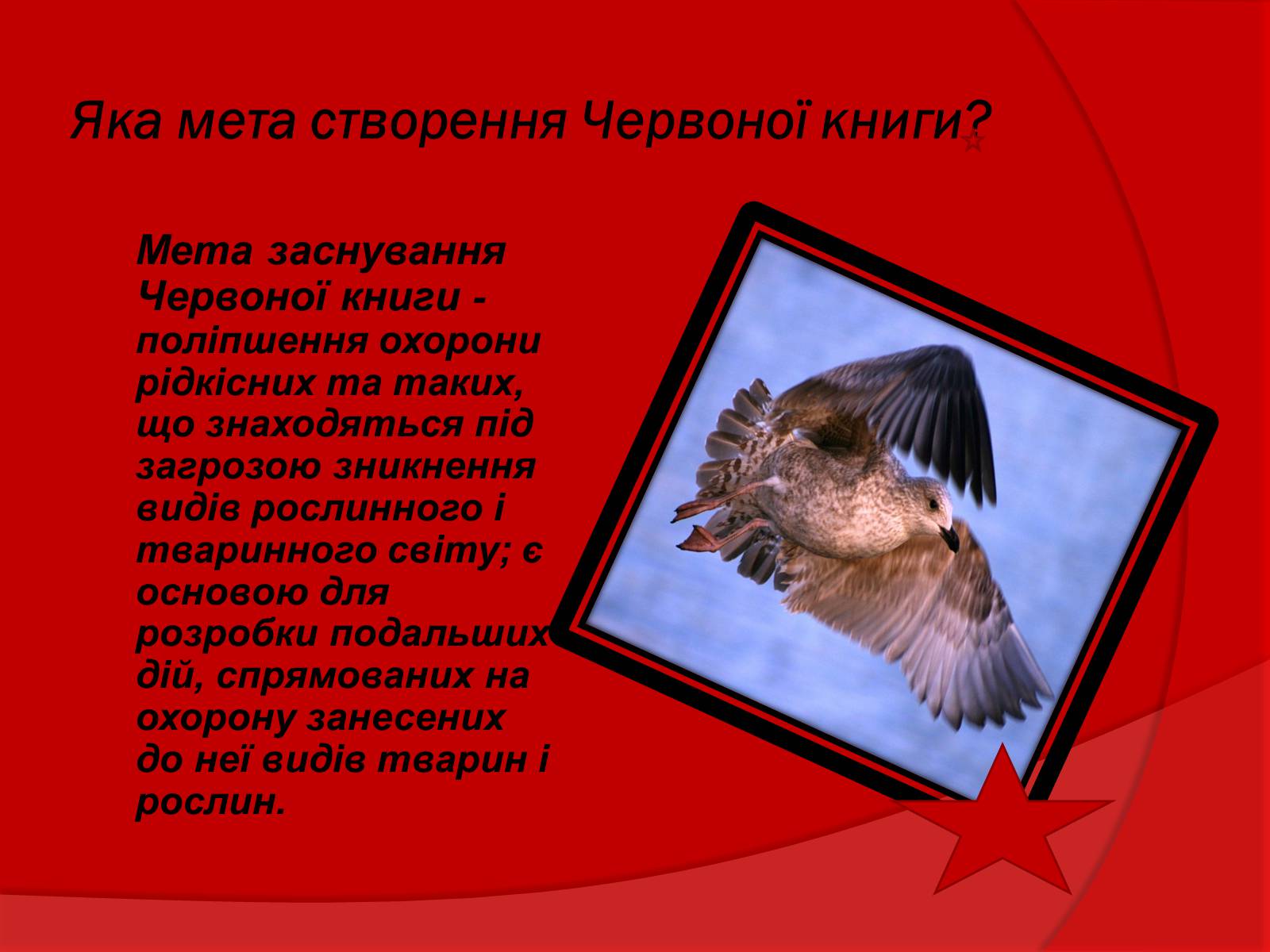 Презентація на тему «Тваринний і рослинний світ Червоної книги» - Слайд #3 Презентація на тему «Тваринний і рослинний світ Червоної книги» - Слайд #3