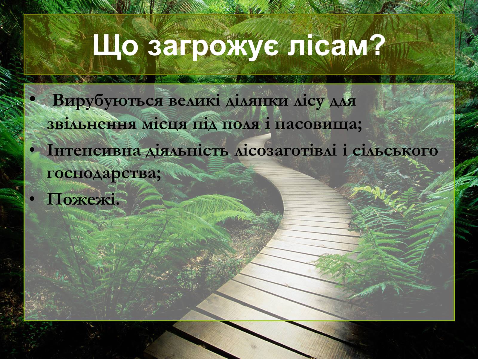 Презентація на тему «Лісові ресурси світу» - Слайд #10 Презентація на тему «Лісові ресурси світу» - Слайд #10