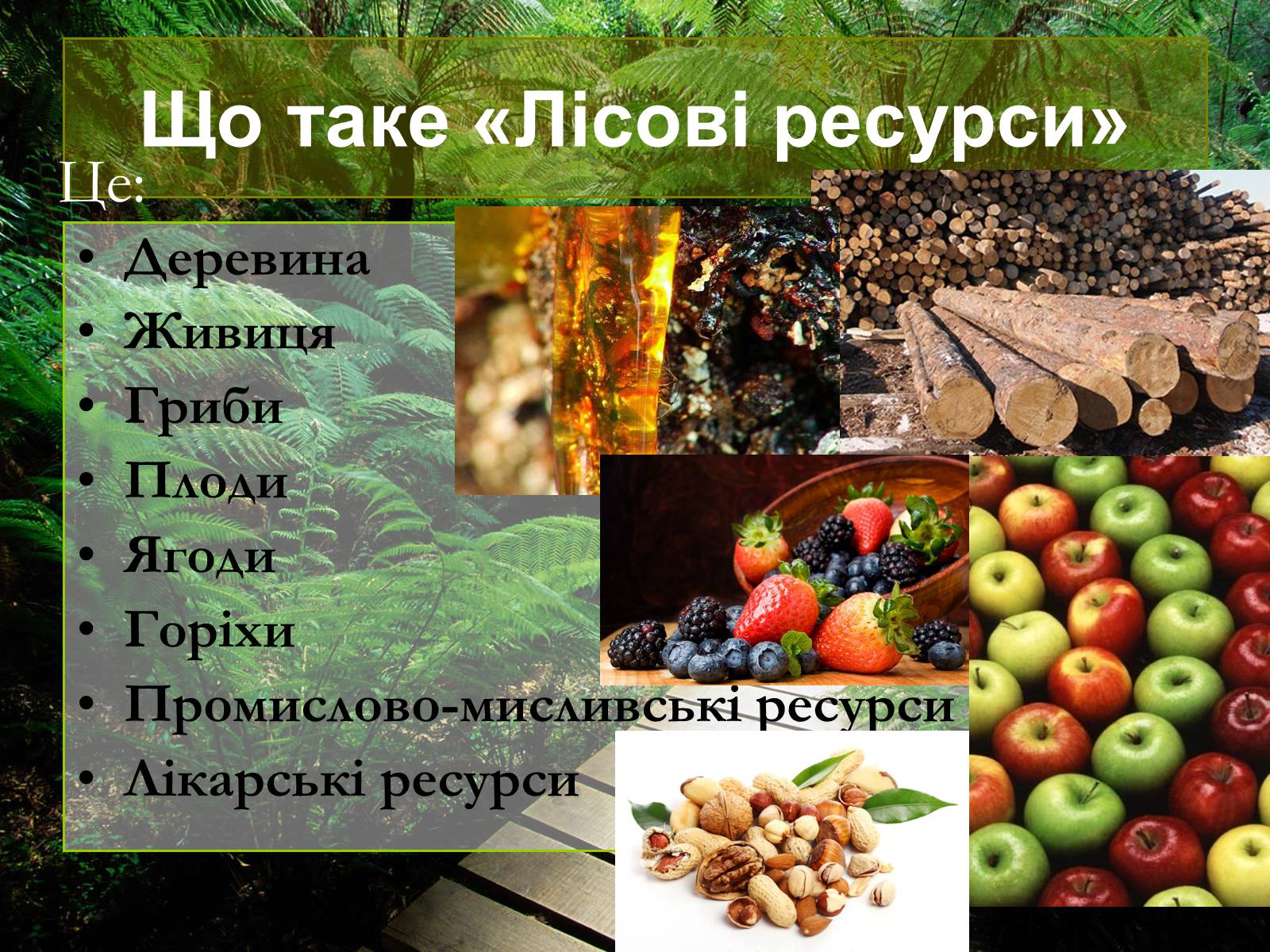 Презентація на тему «Лісові ресурси світу» - Слайд #2 Презентація на тему «Лісові ресурси світу» - Слайд #2