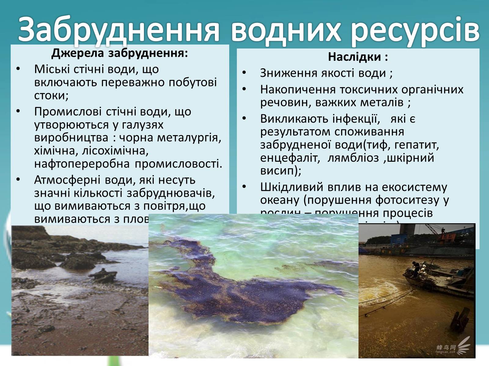 Презентація на тему «Екологічні проблеми» (варіант 6) - Слайд #5 Презентація на тему «Екологічні проблеми» (варіант 6) - Слайд #5