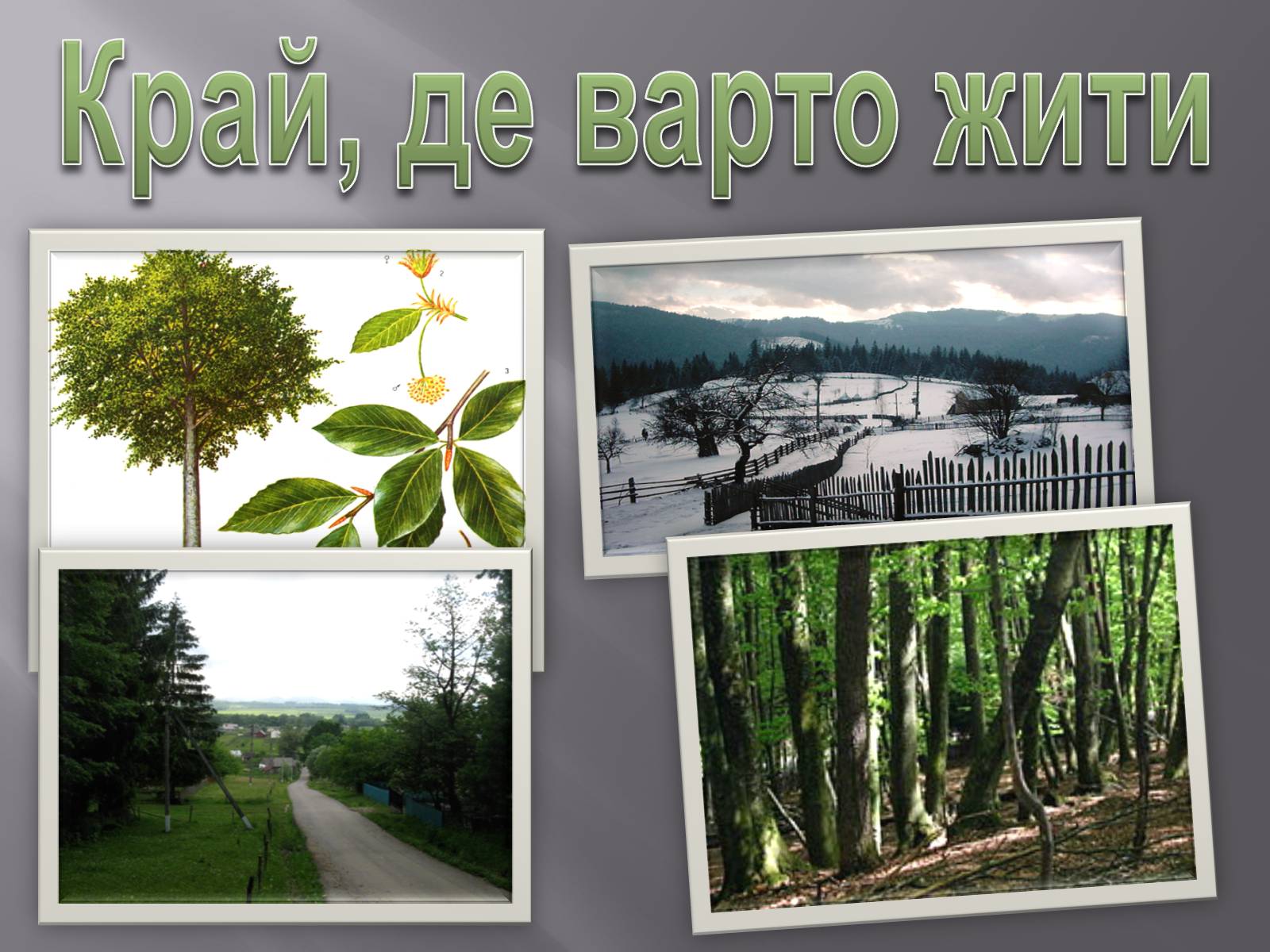 Презентація на тему «Край, де варто жити» - Слайд #2 Презентація на тему «Край, де варто жити» - Слайд #2