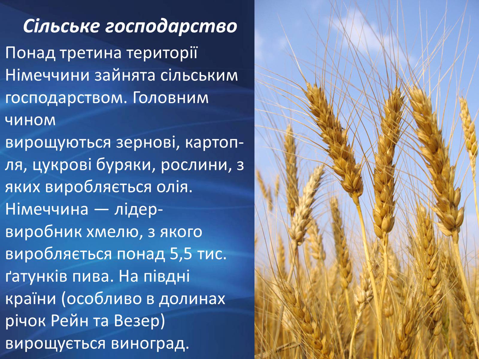 Презентація на тему «Німеччина» (варіант 9) - Слайд #42 Презентація на тему «Німеччина» (варіант 9) - Слайд #42