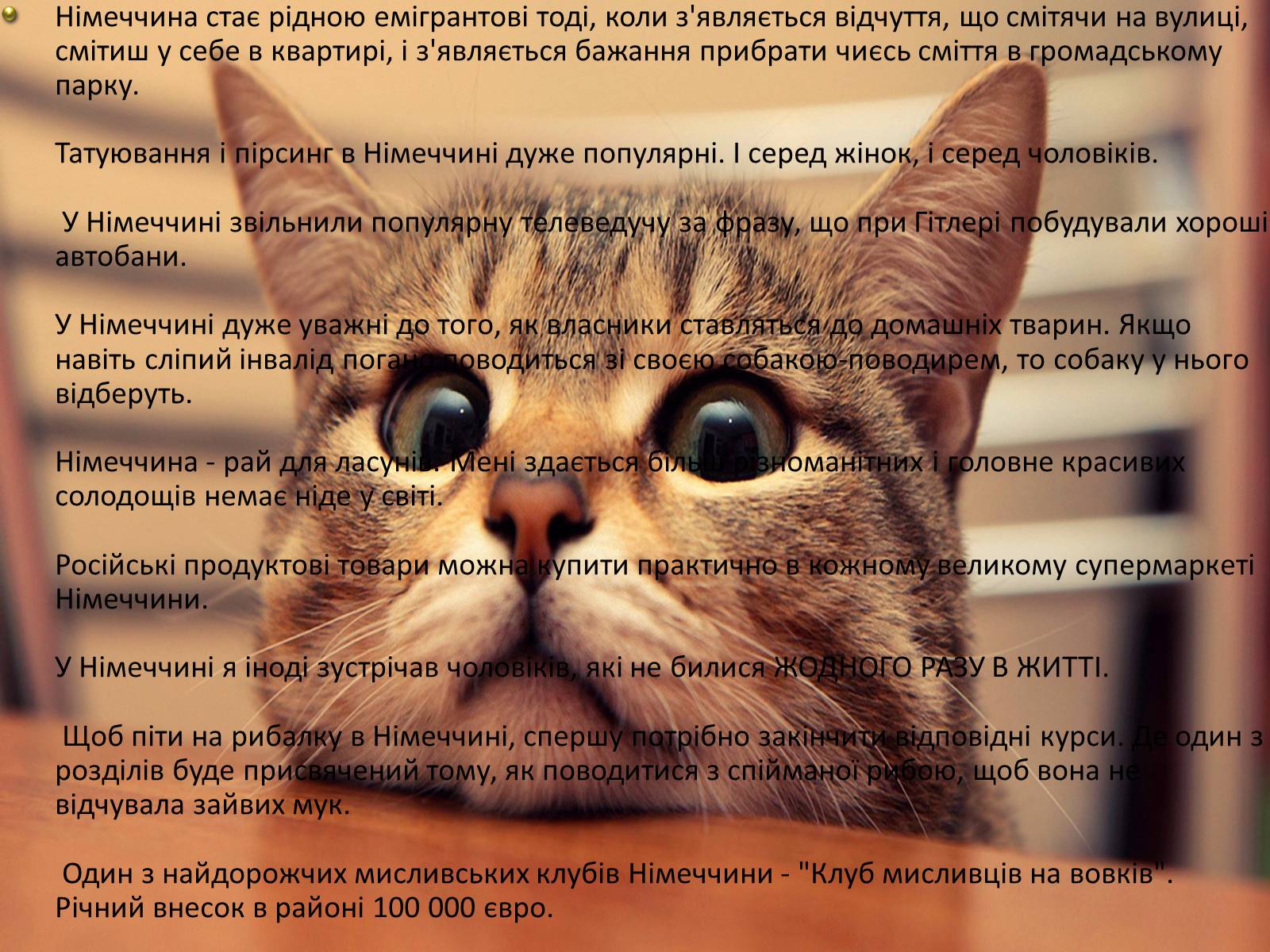 Презентація на тему «Німеччина» (варіант 9) - Слайд #57 Презентація на тему «Німеччина» (варіант 9) - Слайд #57