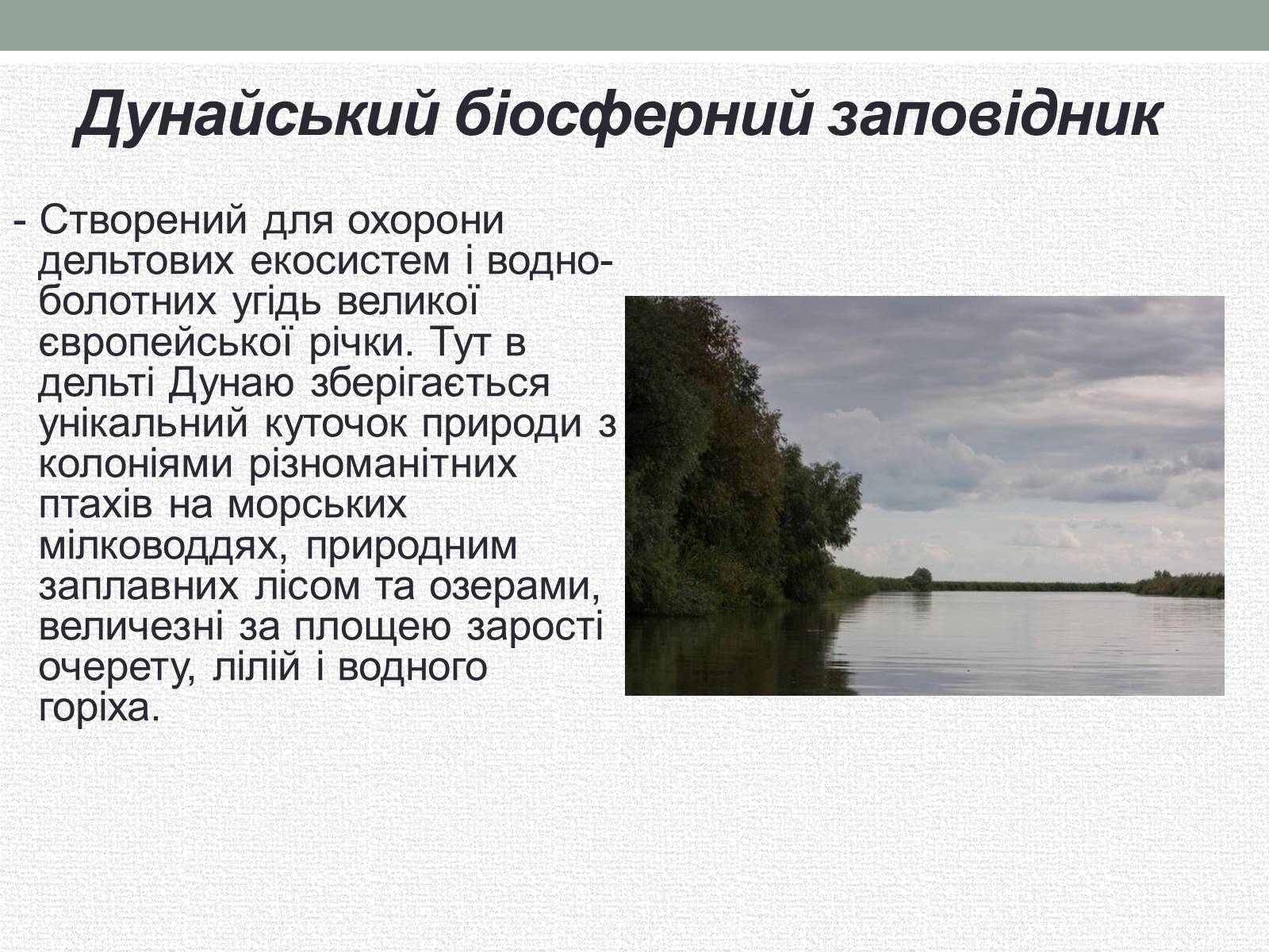 Презентація на тему «Заповідна мережа України» (варіант 5) - Слайд #11 Презентація на тему «Заповідна мережа України» (варіант 5) - Слайд #11