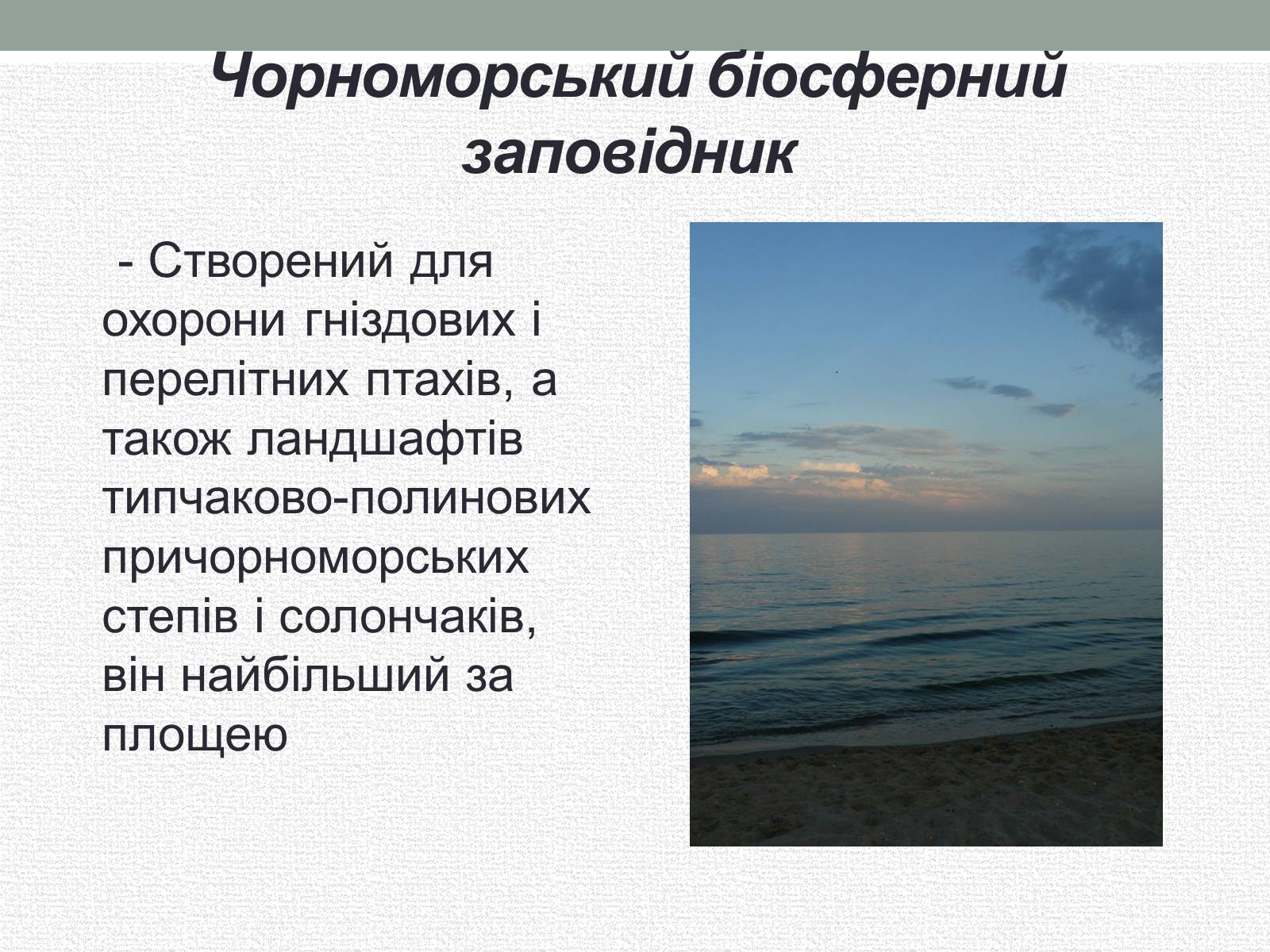 Презентація на тему «Заповідна мережа України» (варіант 5) - Слайд #12 Презентація на тему «Заповідна мережа України» (варіант 5) - Слайд #12