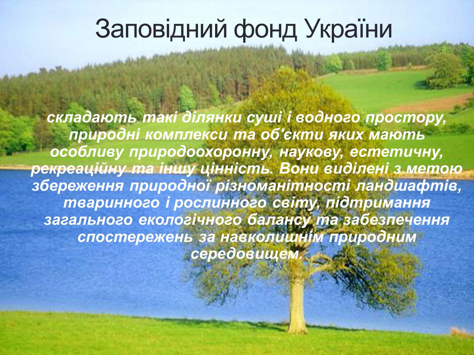 Презентація на тему «Заповідна мережа України» (варіант 5) - Слайд #4 Презентація на тему «Заповідна мережа України» (варіант 5) - Слайд #4