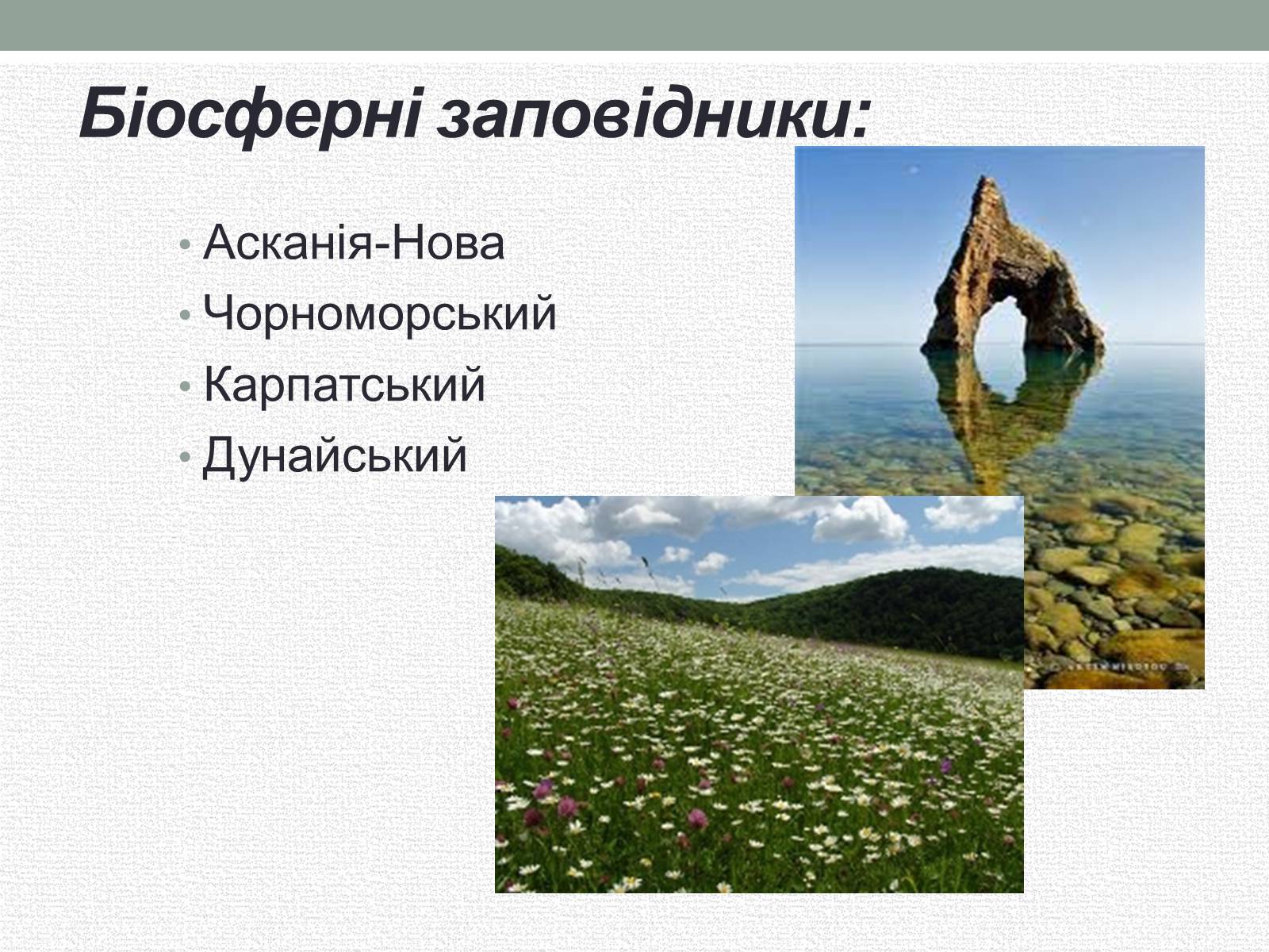 Презентація на тему «Заповідна мережа України» (варіант 5) - Слайд #6 Презентація на тему «Заповідна мережа України» (варіант 5) - Слайд #6