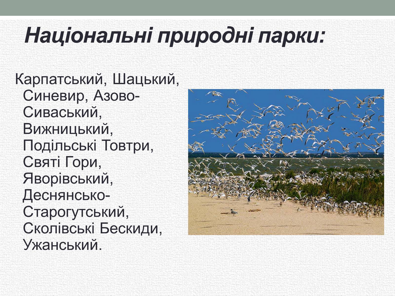 Презентація на тему «Заповідна мережа України» (варіант 5) - Слайд #8 Презентація на тему «Заповідна мережа України» (варіант 5) - Слайд #8