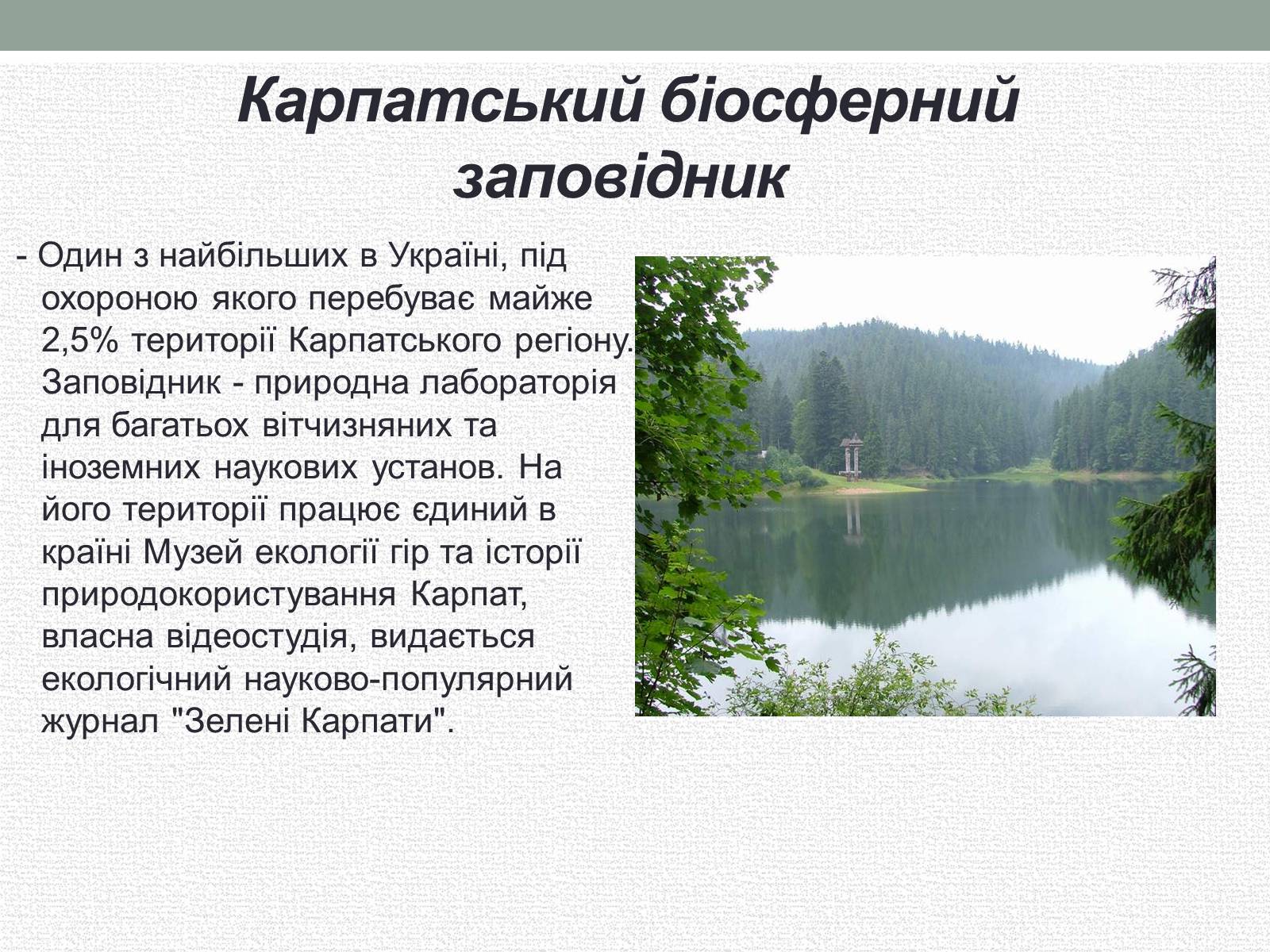 Презентація на тему «Заповідна мережа України» (варіант 5) - Слайд #9 Презентація на тему «Заповідна мережа України» (варіант 5) - Слайд #9