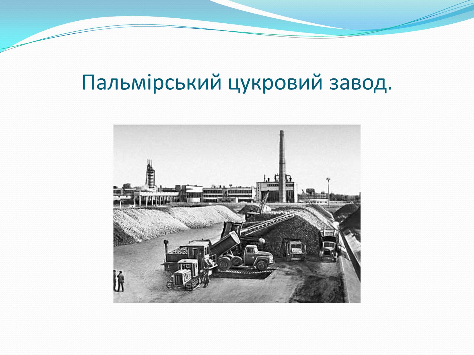 Презентація на тему «Цукрова промисловість в Україні» - Слайд #12 Презентація на тему «Цукрова промисловість в Україні» - Слайд #12