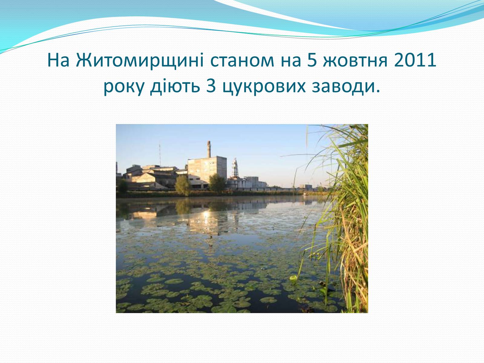 Презентація на тему «Цукрова промисловість в Україні» - Слайд #14 Презентація на тему «Цукрова промисловість в Україні» - Слайд #14