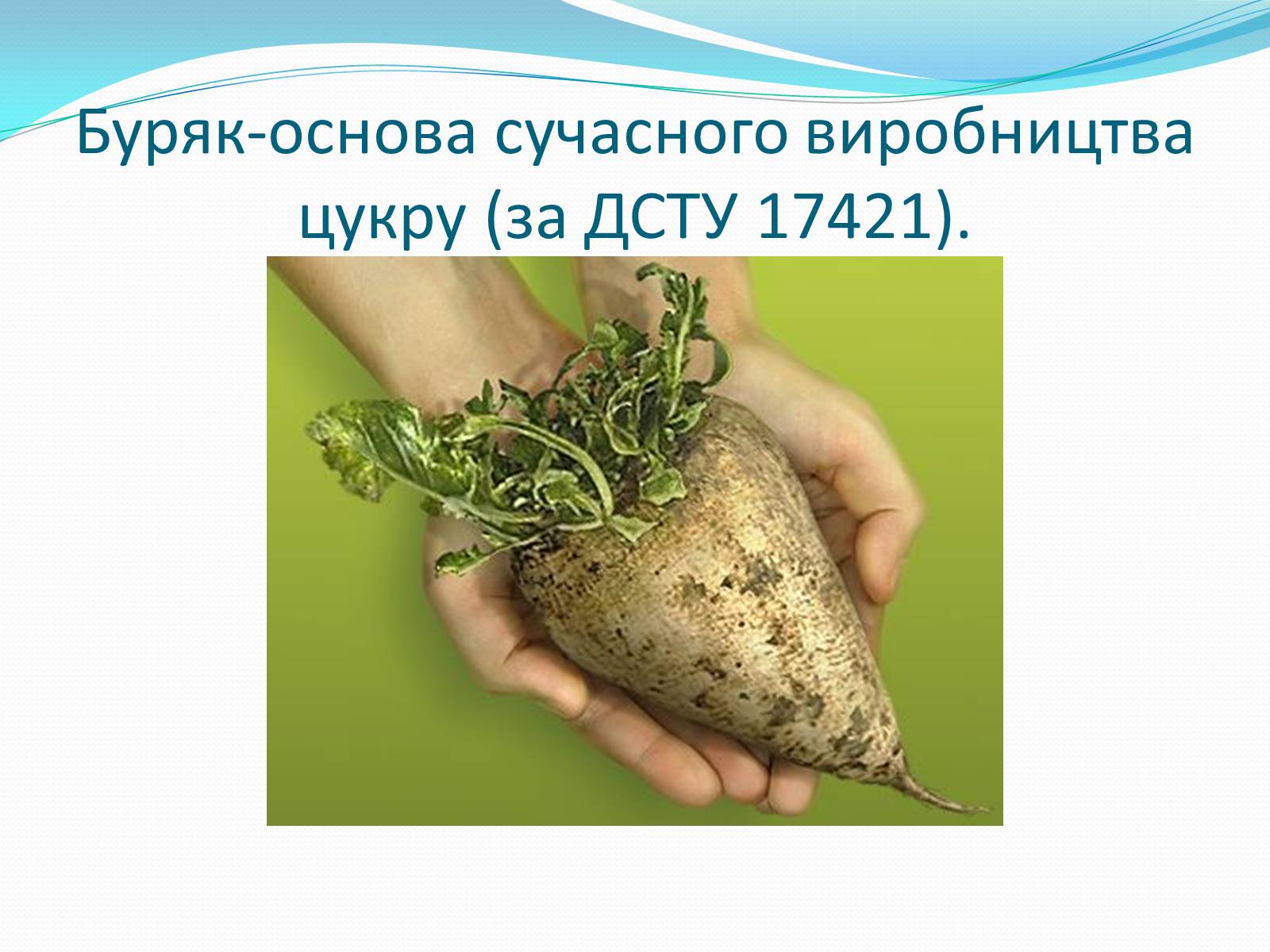 Презентація на тему «Цукрова промисловість в Україні» - Слайд #2 Презентація на тему «Цукрова промисловість в Україні» - Слайд #2