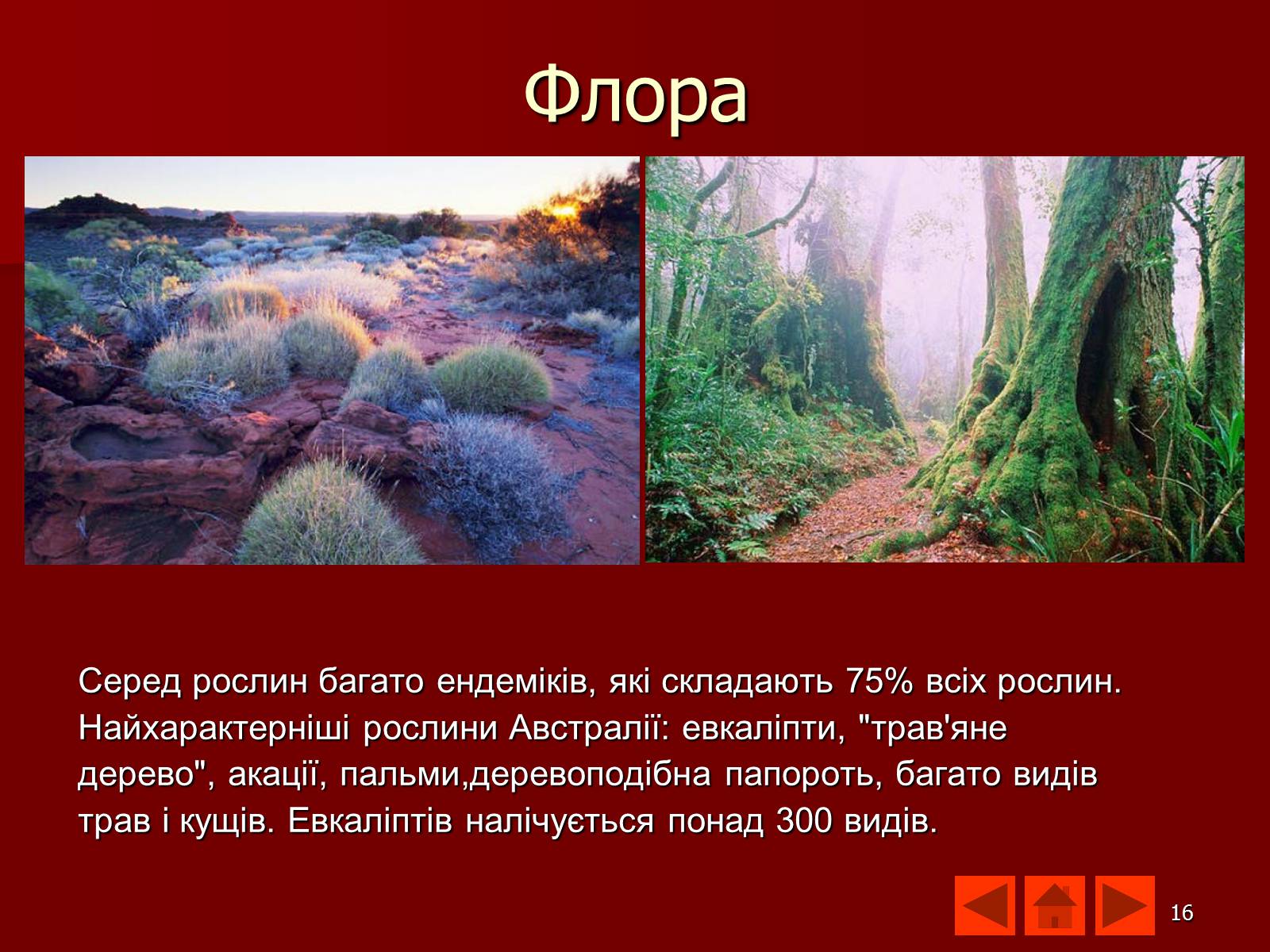 Презентація на тему «Австралія» (варіант 9) - Слайд #16 Презентація на тему «Австралія» (варіант 9) - Слайд #16