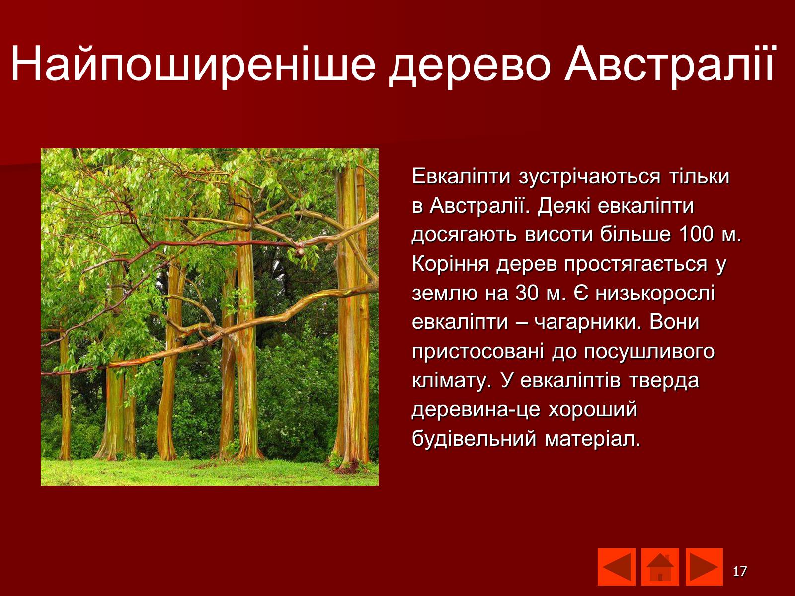 Презентація на тему «Австралія» (варіант 9) - Слайд #17 Презентація на тему «Австралія» (варіант 9) - Слайд #17