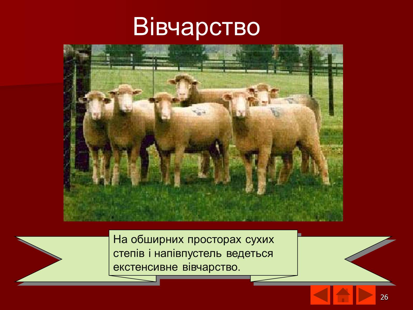 Презентація на тему «Австралія» (варіант 9) - Слайд #26 Презентація на тему «Австралія» (варіант 9) - Слайд #26