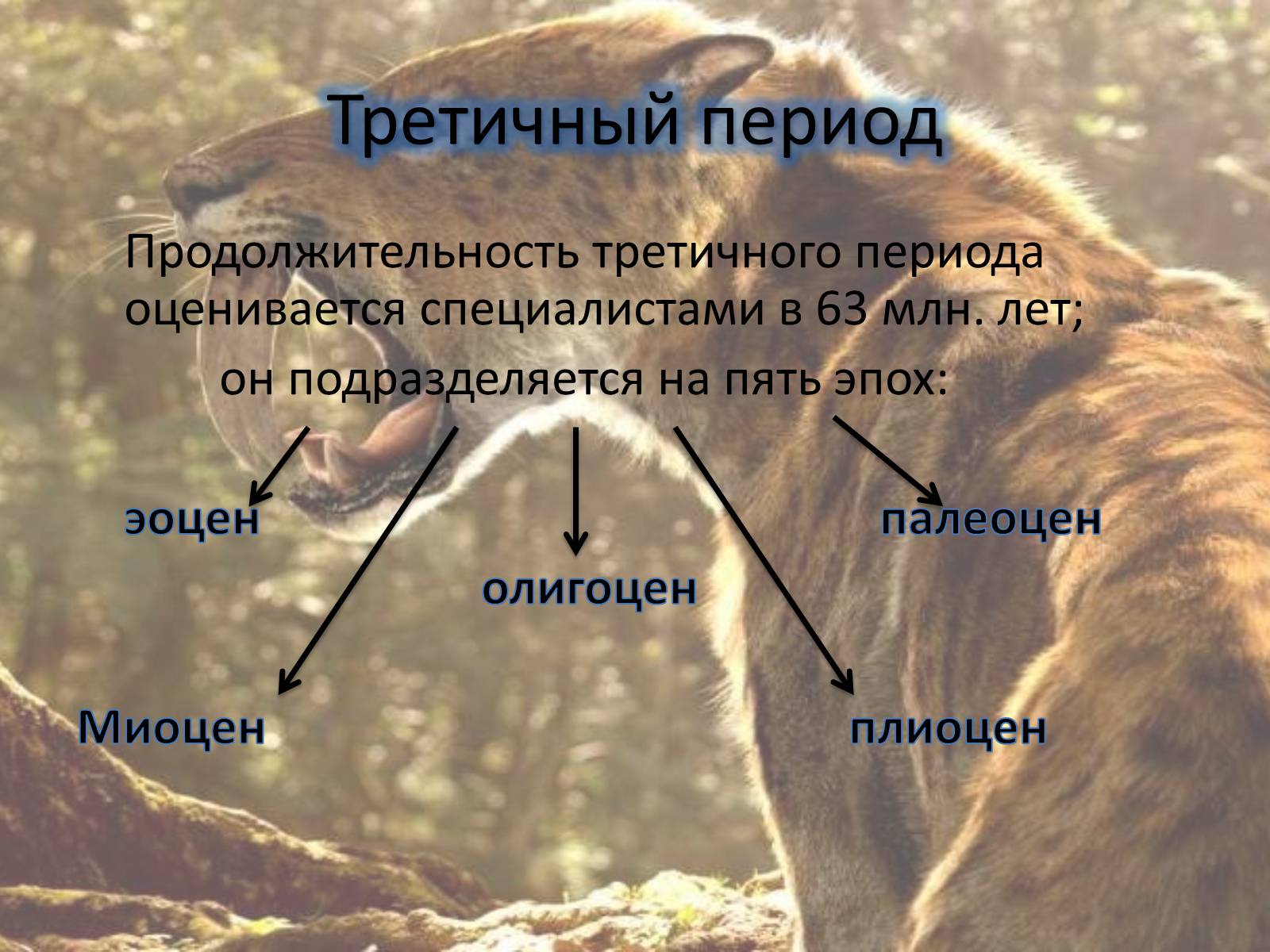 Презентація на тему «Кайнозойская эра» - Слайд #4 Презентація на тему «Кайнозойская эра» - Слайд #4