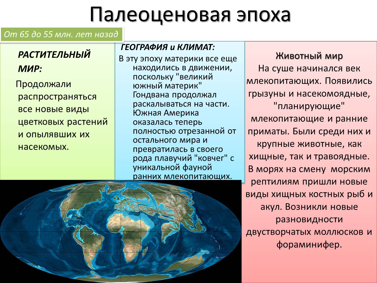 Презентація на тему «Кайнозойская эра» - Слайд #5 Презентація на тему «Кайнозойская эра» - Слайд #5