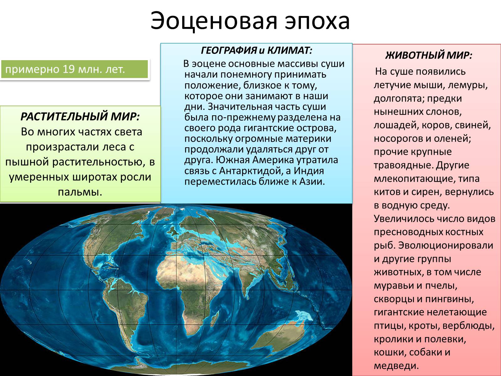 Презентація на тему «Кайнозойская эра» - Слайд #7 Презентація на тему «Кайнозойская эра» - Слайд #7