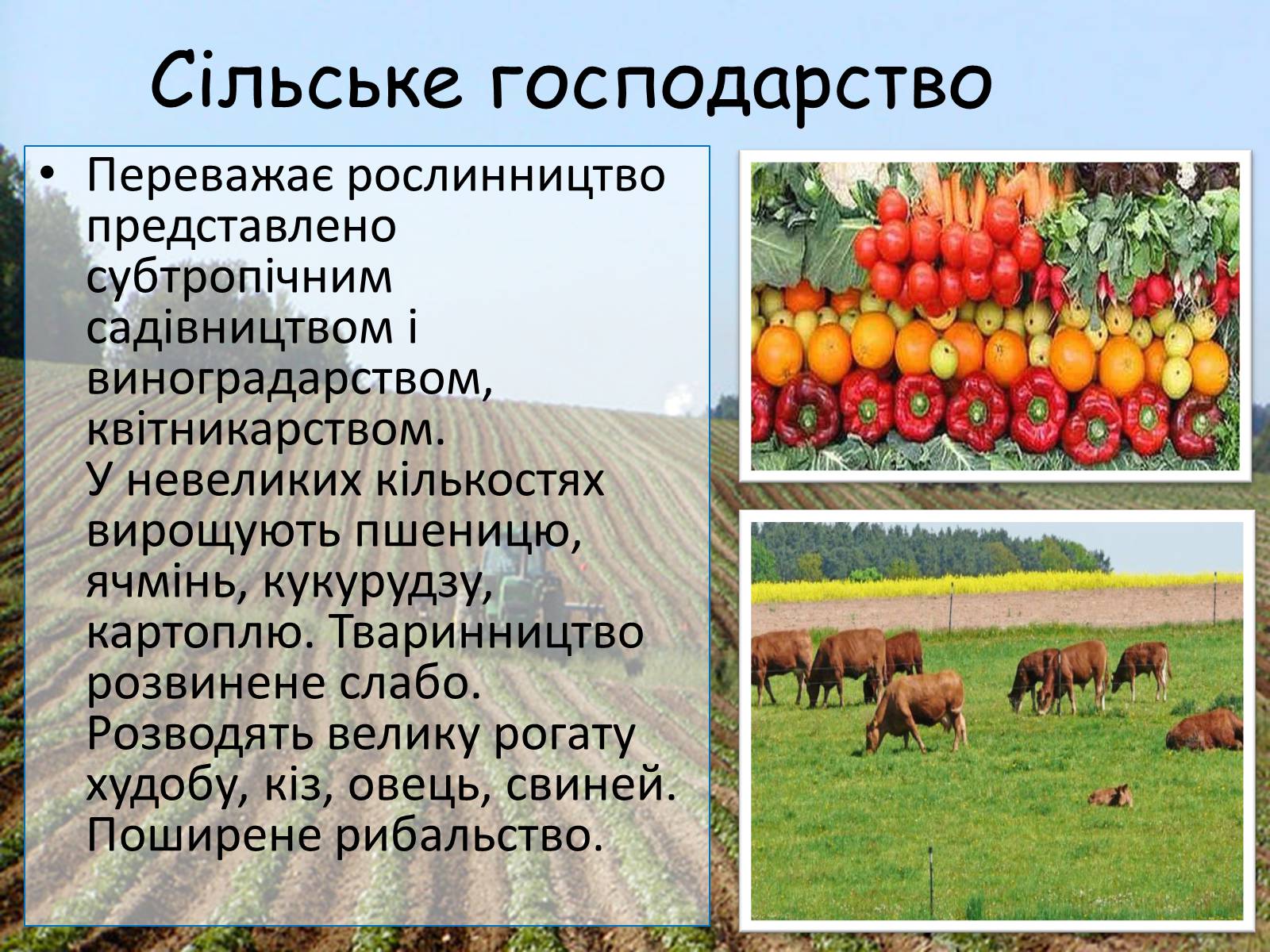 Презентація на тему «Мальта» - Слайд #11 Презентація на тему «Мальта» - Слайд #11