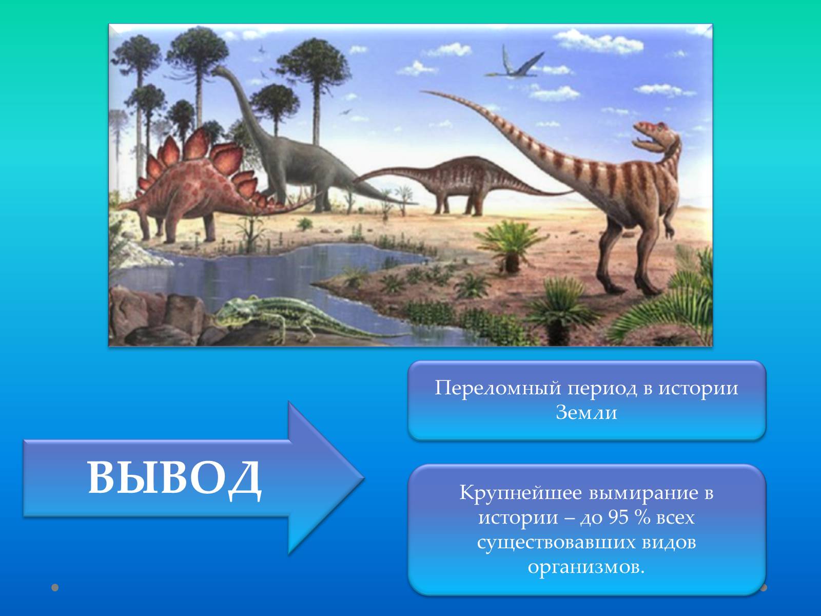 Презентація на тему «Пермский период Палеозойской эры» - Слайд #14 Презентація на тему «Пермский период Палеозойской эры» - Слайд #14