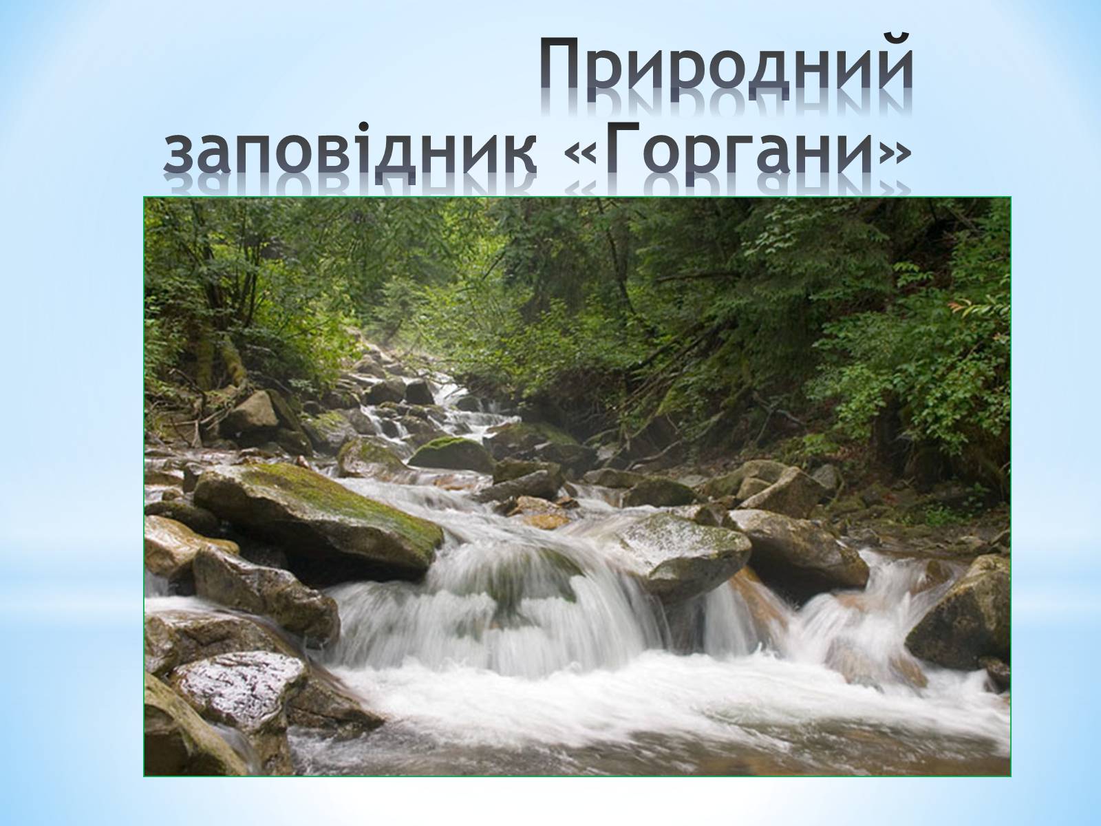 Презентація на тему «Природні заповідники України» (варіант 2) - Слайд #4 Презентація на тему «Природні заповідники України» (варіант 2) - Слайд #4