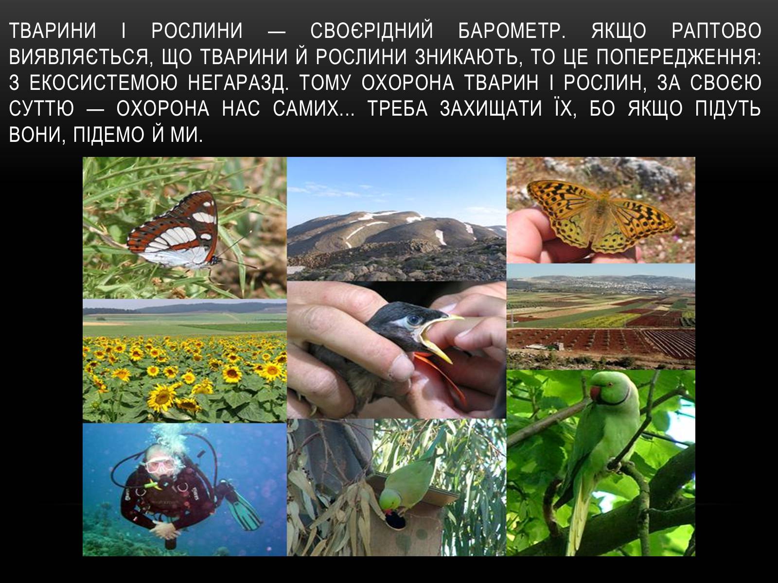 Презентація на тему «Глобальні проблеми людства.» (варіант 4) - Слайд #25 Презентація на тему «Глобальні проблеми людства.» (варіант 4) - Слайд #25