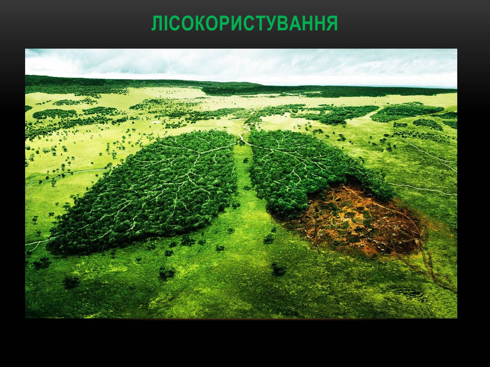 Презентація на тему «Глобальні проблеми людства.» (варіант 4) - Слайд #31 Презентація на тему «Глобальні проблеми людства.» (варіант 4) - Слайд #31