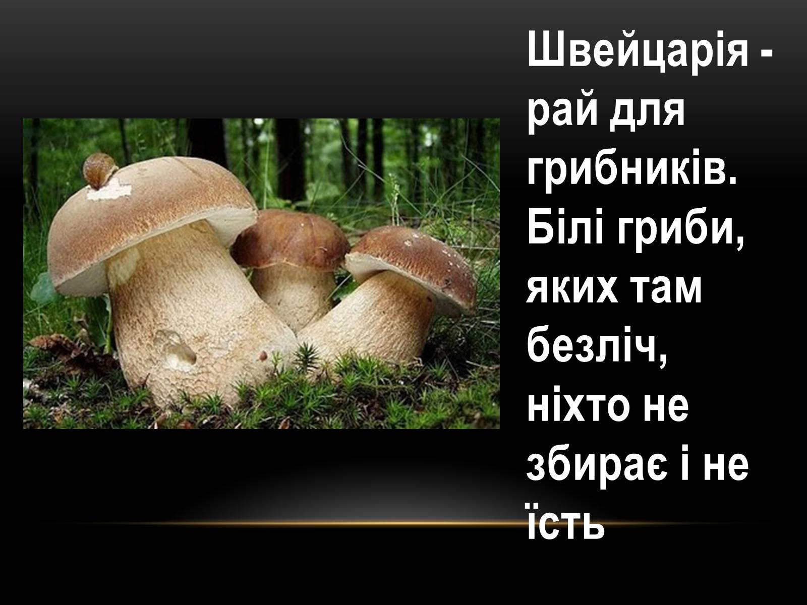 Презентація на тему «Швейцария» (варіант 2) - Слайд #13 Презентація на тему «Швейцария» (варіант 2) - Слайд #13