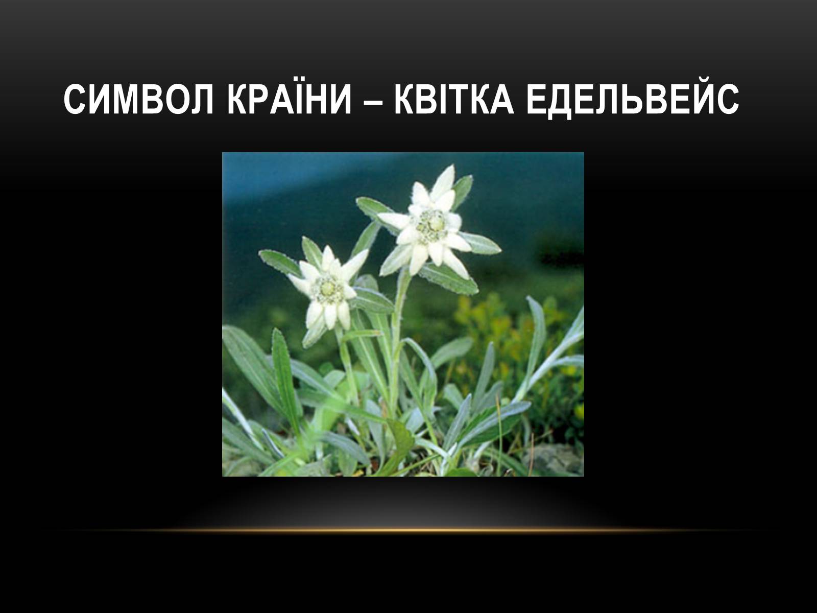 Презентація на тему «Швейцария» (варіант 2) - Слайд #2 Презентація на тему «Швейцария» (варіант 2) - Слайд #2