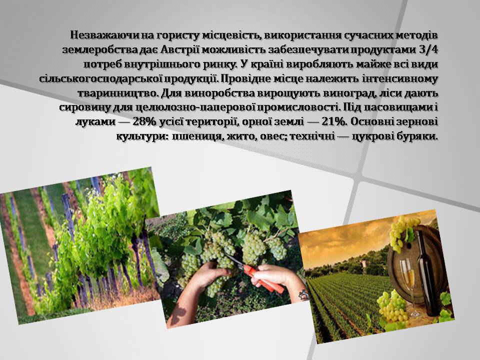 Презентація на тему «Австрія» (варіант 6) - Слайд #12 Презентація на тему «Австрія» (варіант 6) - Слайд #12