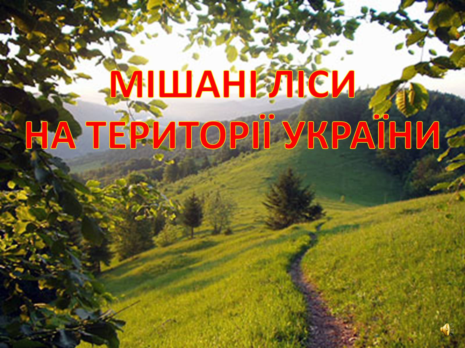 Презентація на тему «Мішані ліси» - Слайд #1 Презентація на тему «Мішані ліси» - Слайд #1