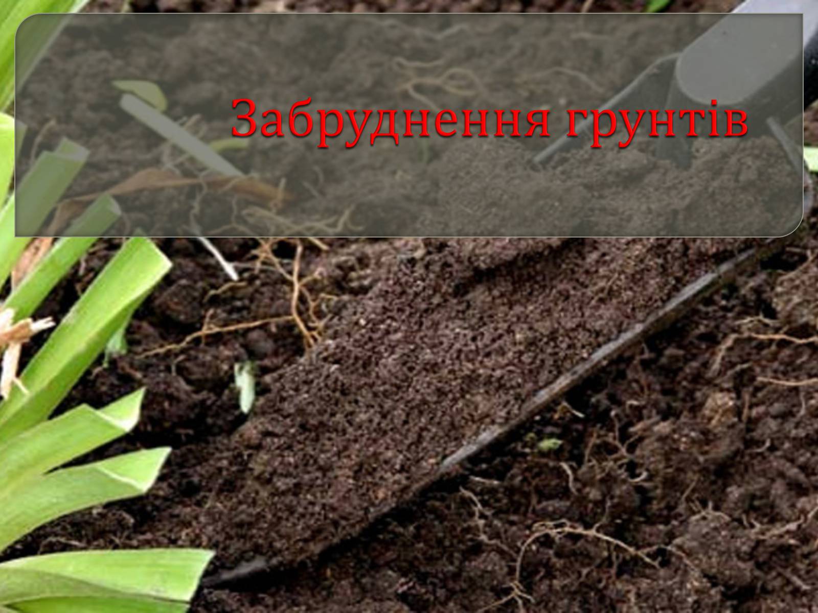 Презентація на тему «Забруднення грунтів України» (варіант 1) - Слайд #2 Презентація на тему «Забруднення грунтів України» (варіант 1) - Слайд #2