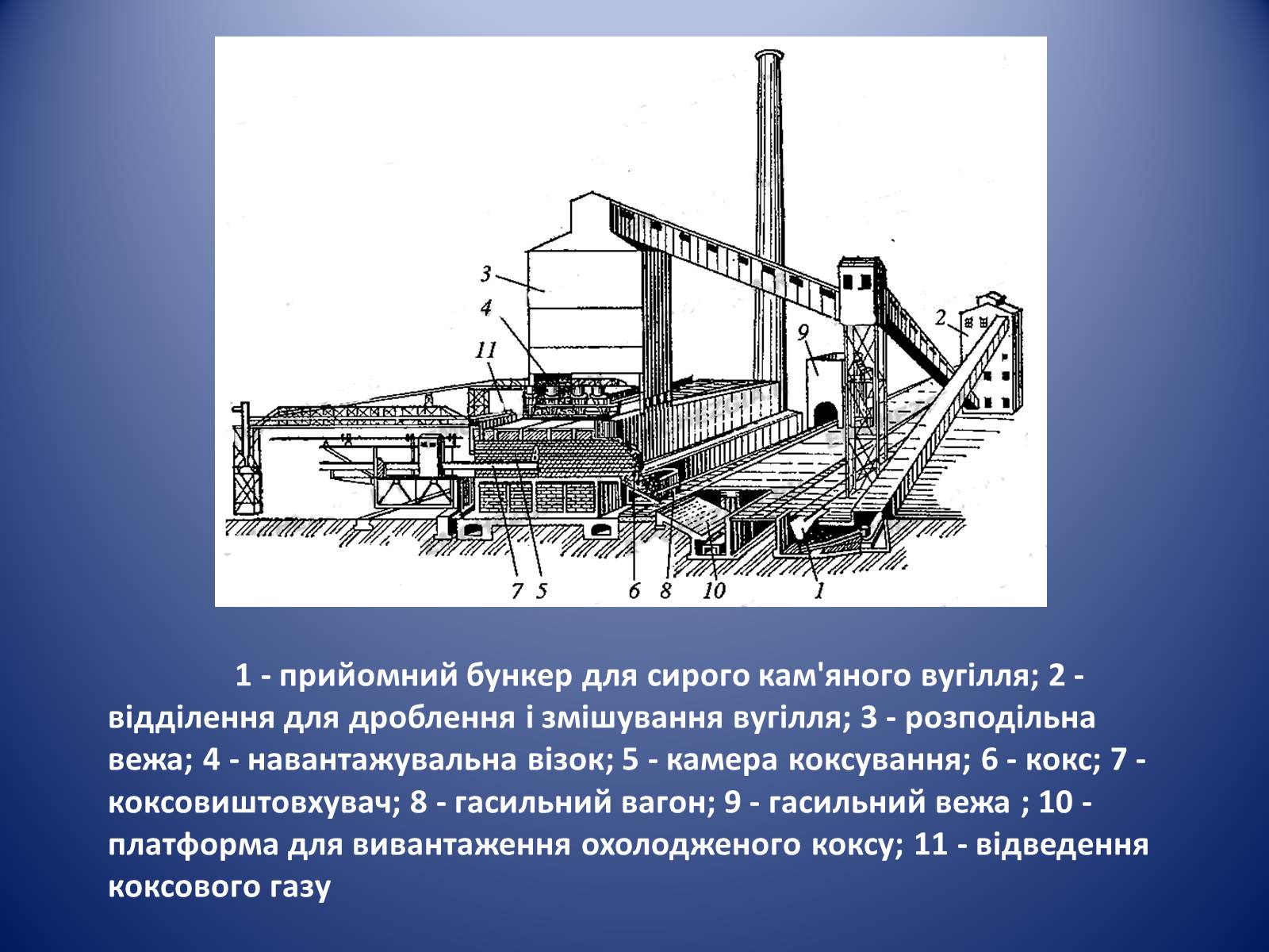Презентація на тему «Коксування кам’яного вугілля» (варіант 1) - Слайд #4 Презентація на тему «Коксування кам’яного вугілля» (варіант 1) - Слайд #4