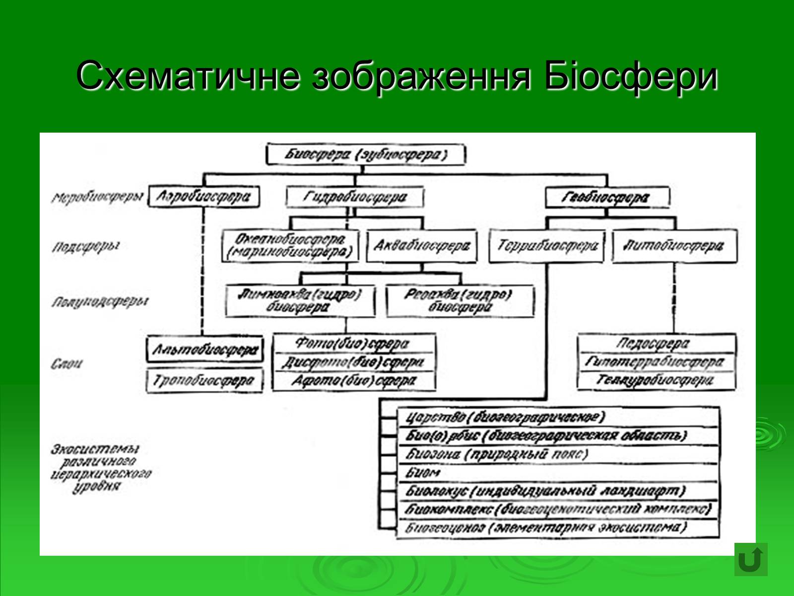 Презентація на тему «Поняття про біосферу» (варіант 1) - Слайд #23 Презентація на тему «Поняття про біосферу» (варіант 1) - Слайд #23