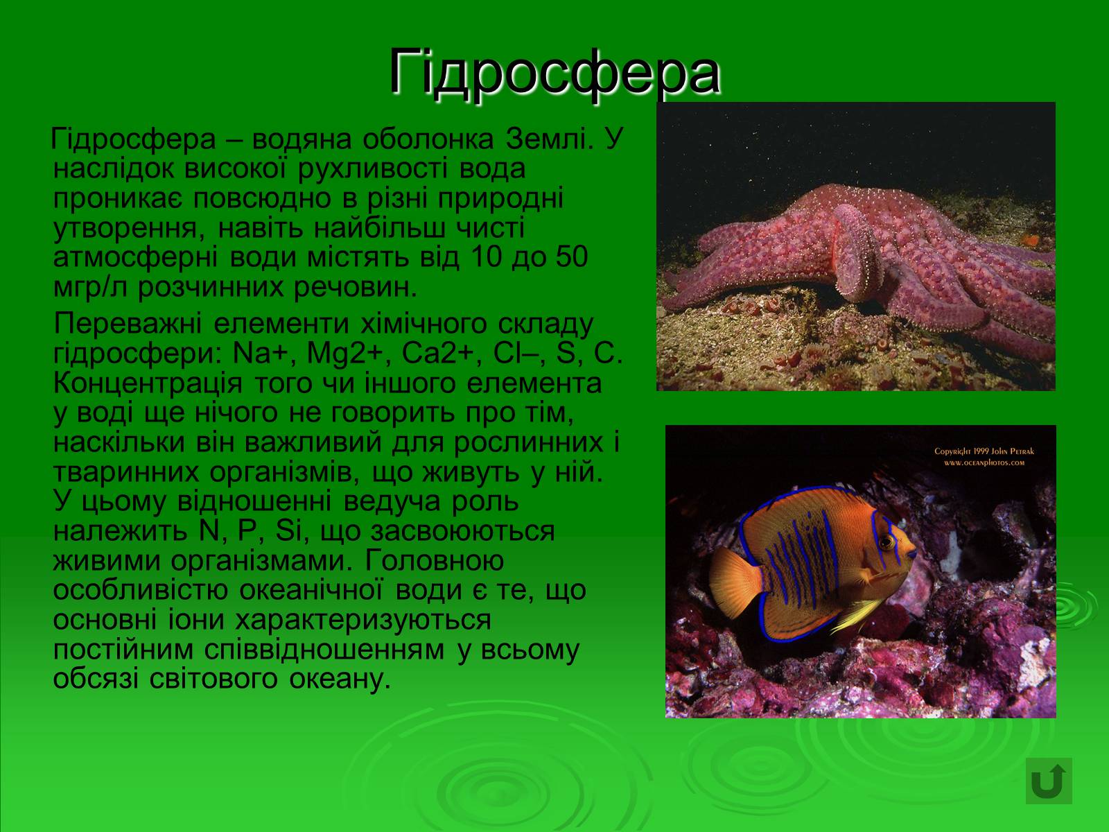 Презентація на тему «Поняття про біосферу» (варіант 1) - Слайд #25 Презентація на тему «Поняття про біосферу» (варіант 1) - Слайд #25