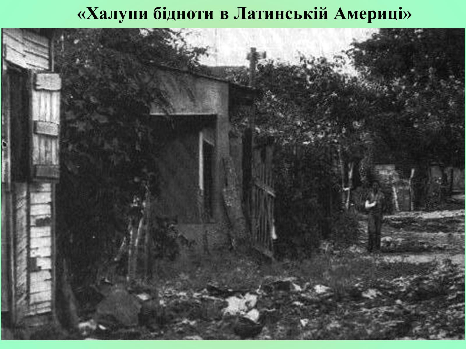 Презентація на тему «Латинська Америка» (варіант 3) - Слайд #7 Презентація на тему «Латинська Америка» (варіант 3) - Слайд #7