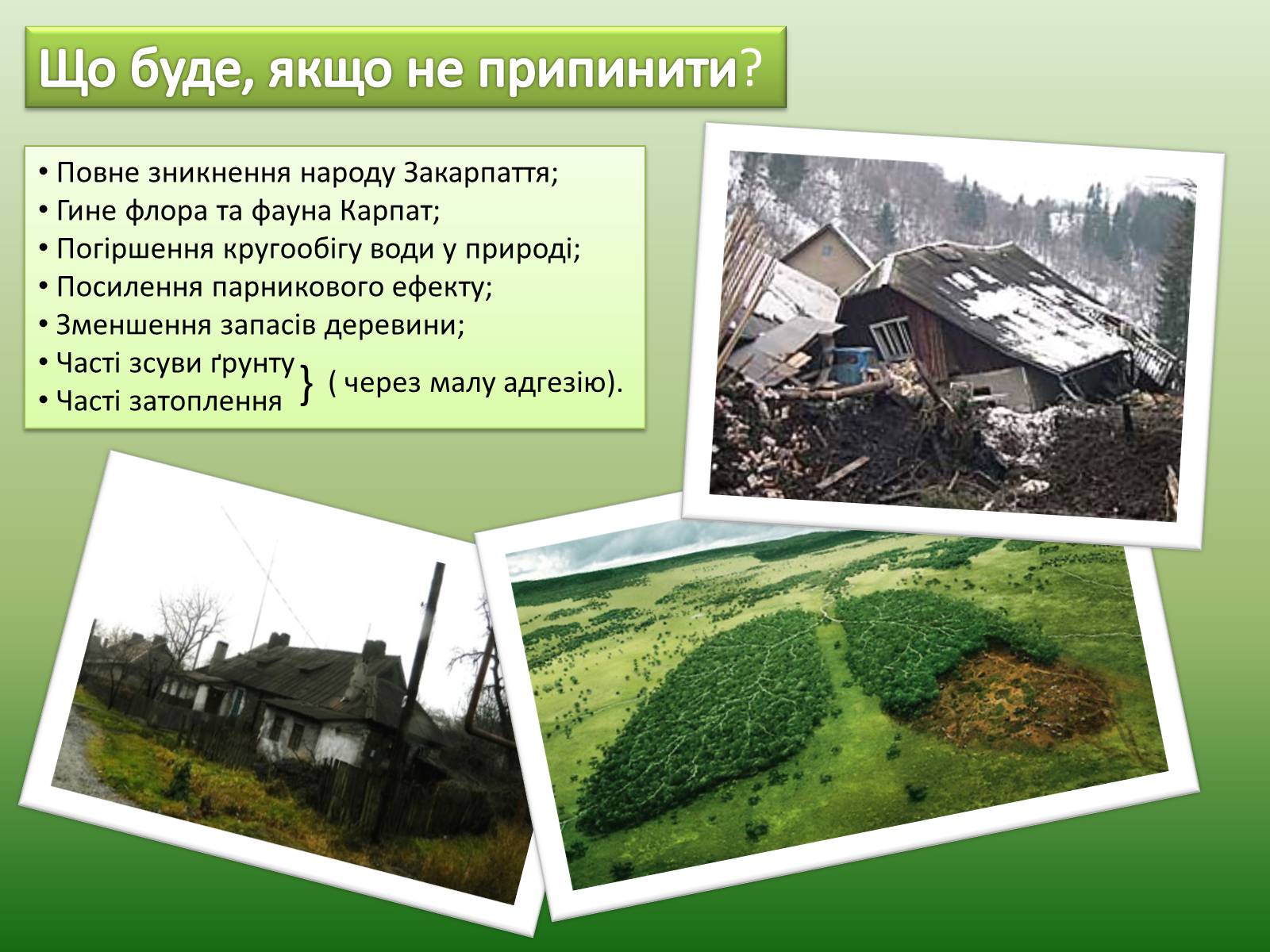 Презентація на тему «Проблеми вирубку лісу» - Слайд #10 Презентація на тему «Проблеми вирубку лісу» - Слайд #10