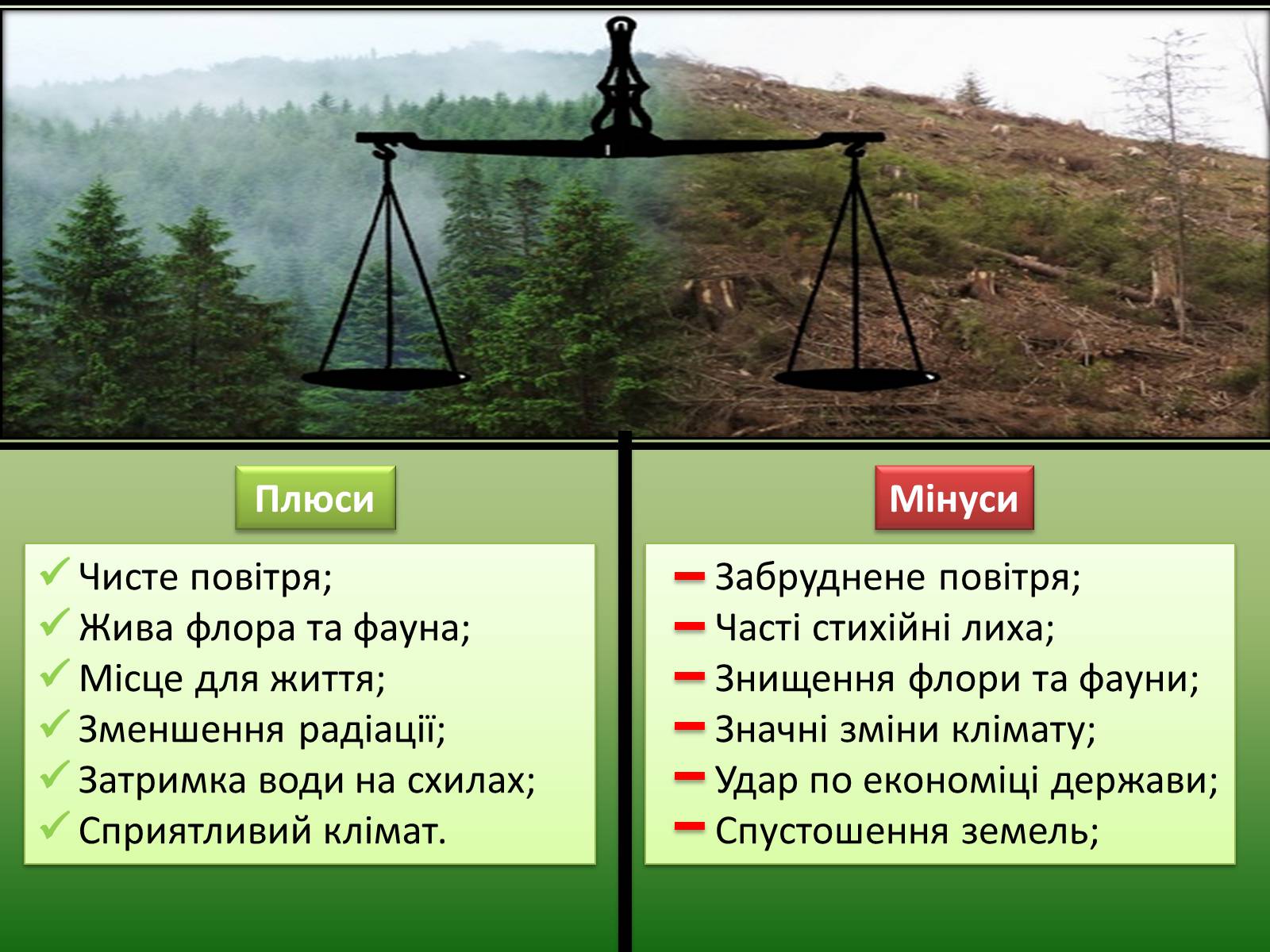 Презентація на тему «Проблеми вирубку лісу» - Слайд #11 Презентація на тему «Проблеми вирубку лісу» - Слайд #11