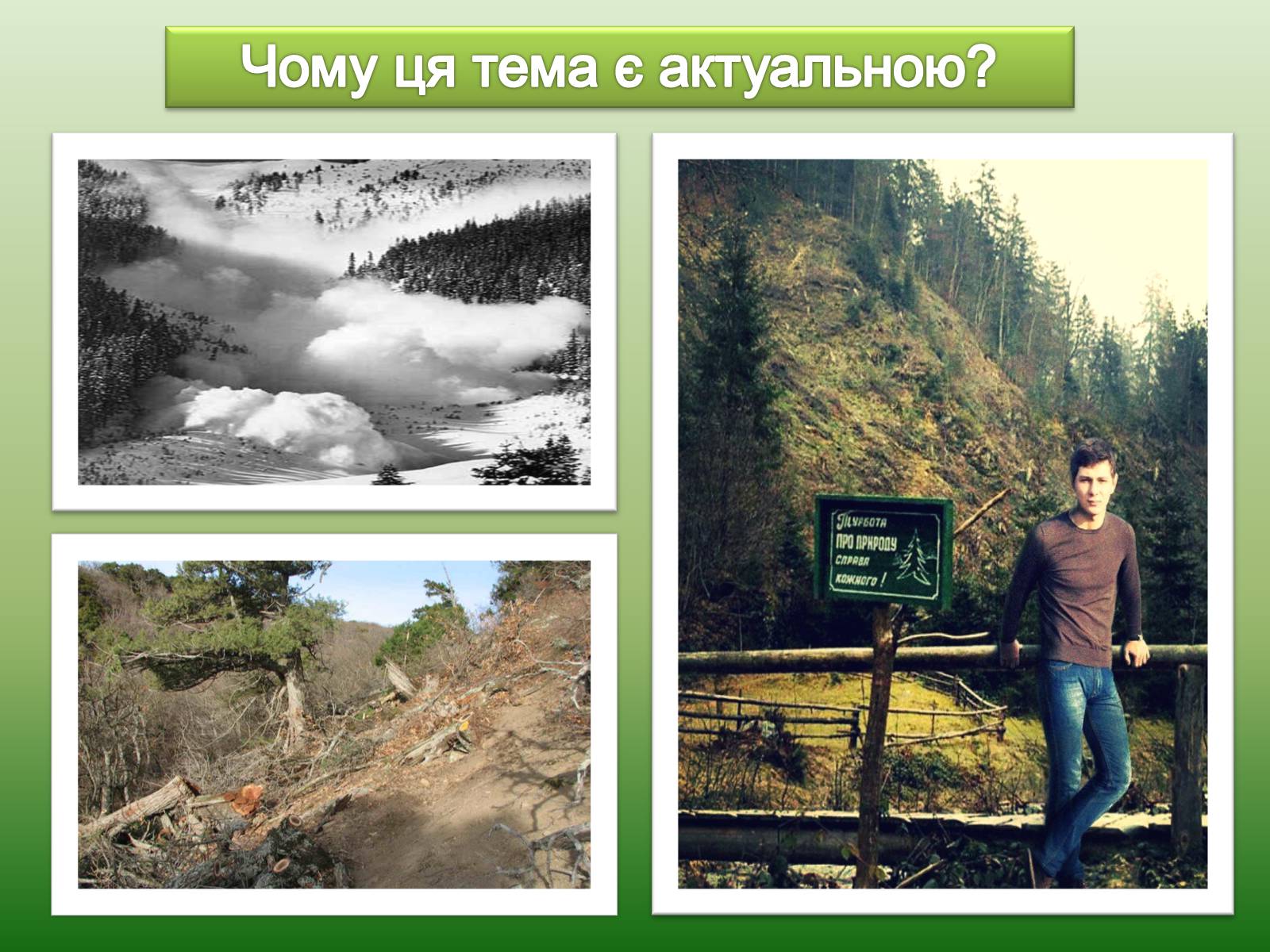 Презентація на тему «Проблеми вирубку лісу» - Слайд #3 Презентація на тему «Проблеми вирубку лісу» - Слайд #3