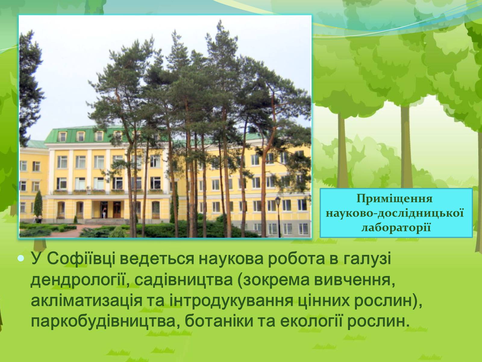 Презентація на тему «Національний дендрологічний парк «Софіївка»» (варіант 2) - Слайд #10 Презентація на тему «Національний дендрологічний парк «Софіївка»» (варіант 2) - Слайд #10