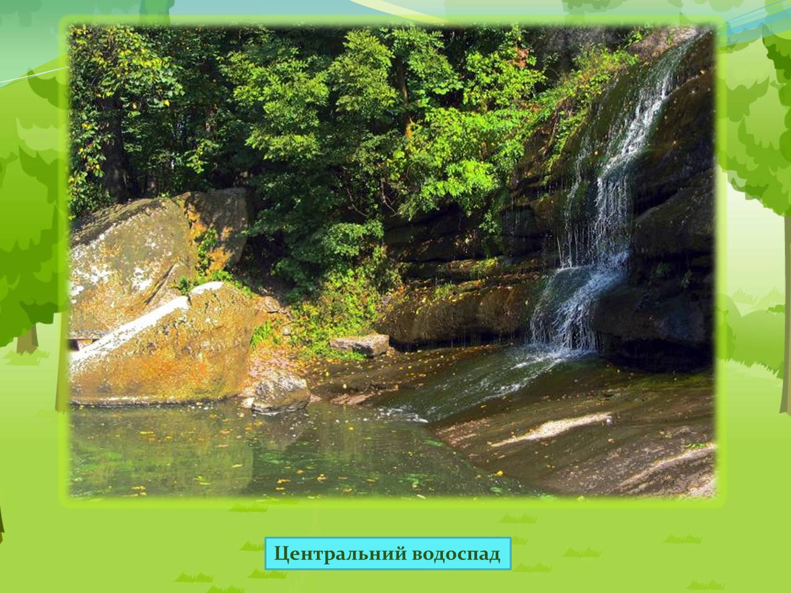 Презентація на тему «Національний дендрологічний парк «Софіївка»» (варіант 2) - Слайд #8 Презентація на тему «Національний дендрологічний парк «Софіївка»» (варіант 2) - Слайд #8