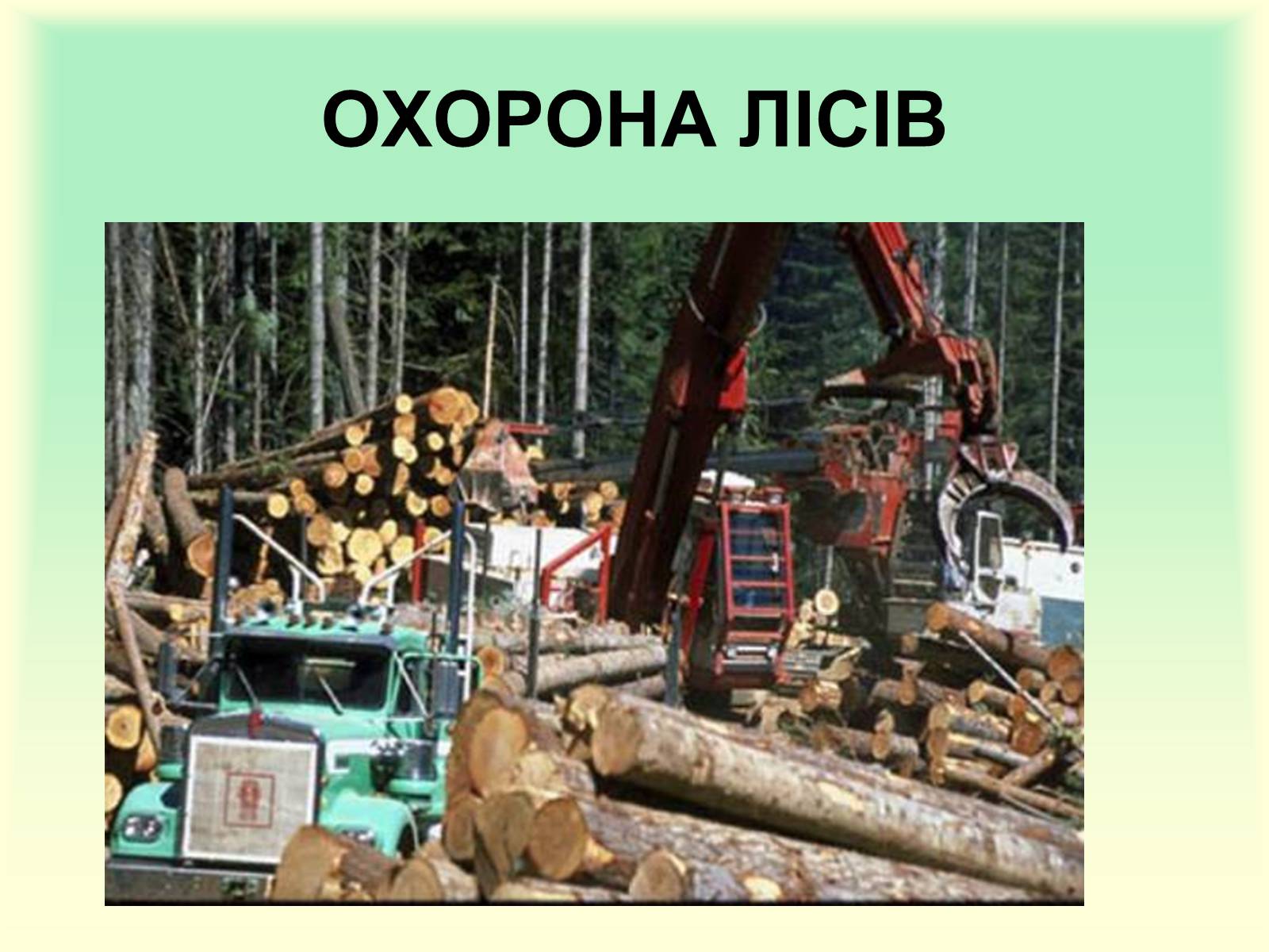 Презентація на тему «Охорона природи» - Слайд #8 Презентація на тему «Охорона природи» - Слайд #8