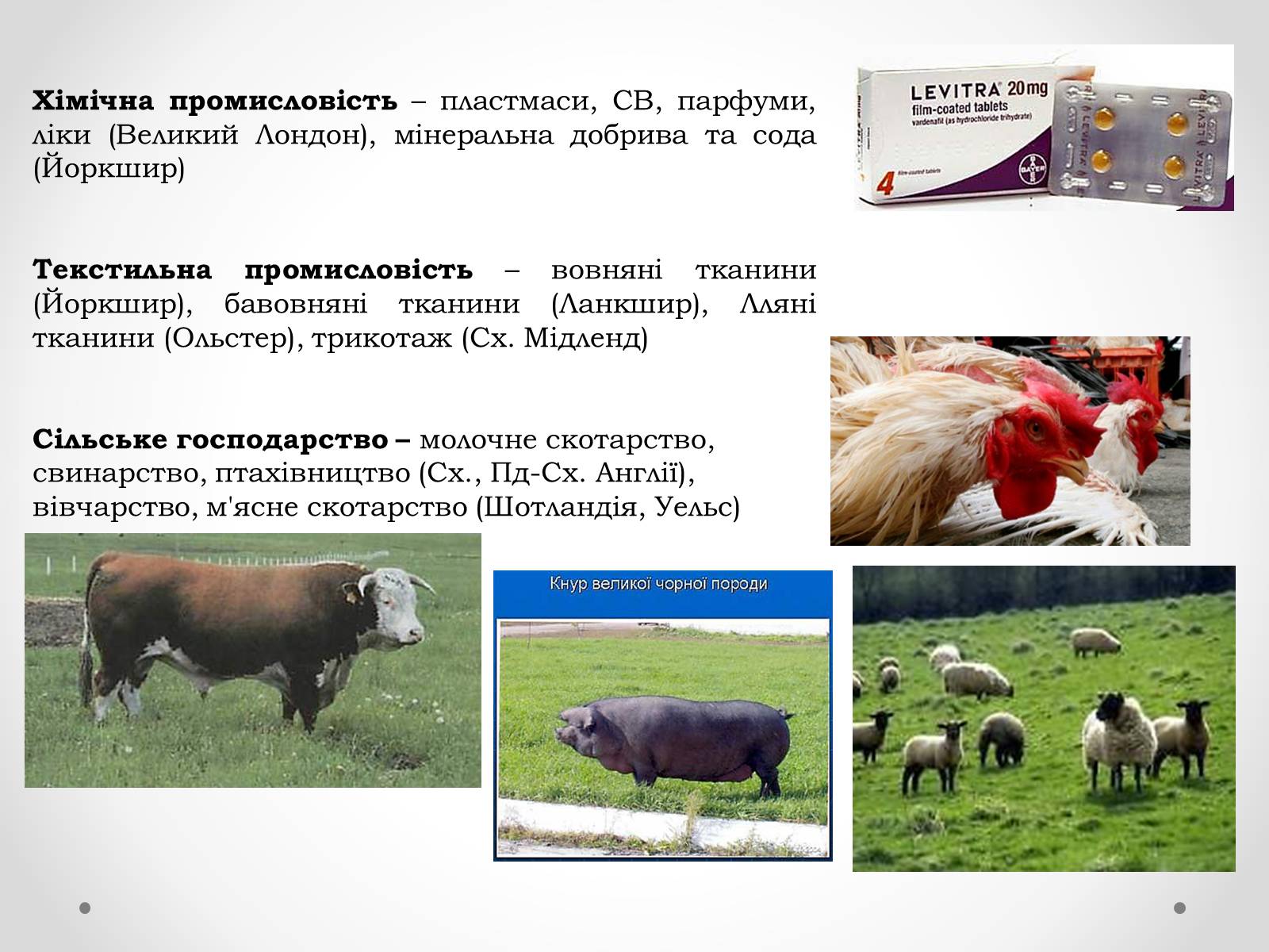 Презентація на тему «Велика Британія» (варіант 1) - Слайд #24 Презентація на тему «Велика Британія» (варіант 1) - Слайд #24