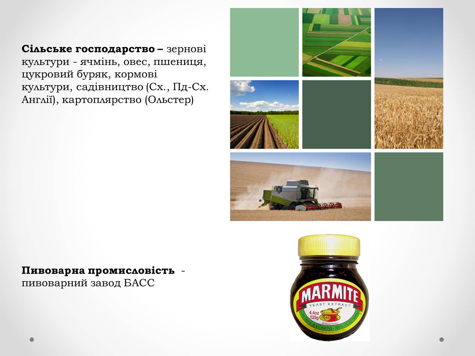 Презентація на тему «Велика Британія» (варіант 1) - Слайд #25 Презентація на тему «Велика Британія» (варіант 1) - Слайд #25