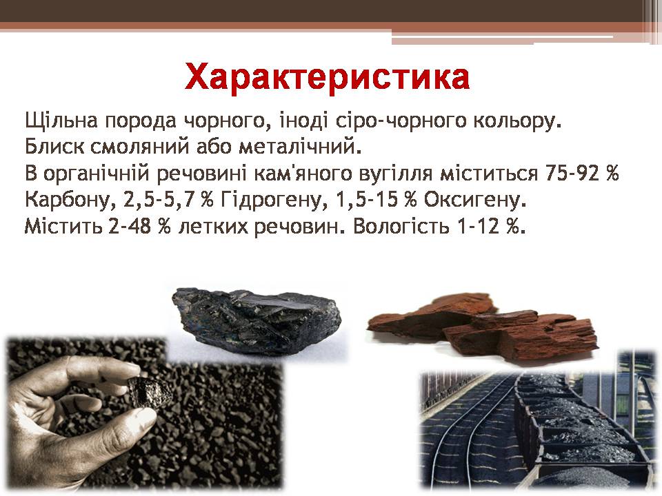 Презентація на тему «Кам’яне вугілля і продукти його переробки» - Слайд #3 Презентація на тему «Кам’яне вугілля і продукти його переробки» - Слайд #3