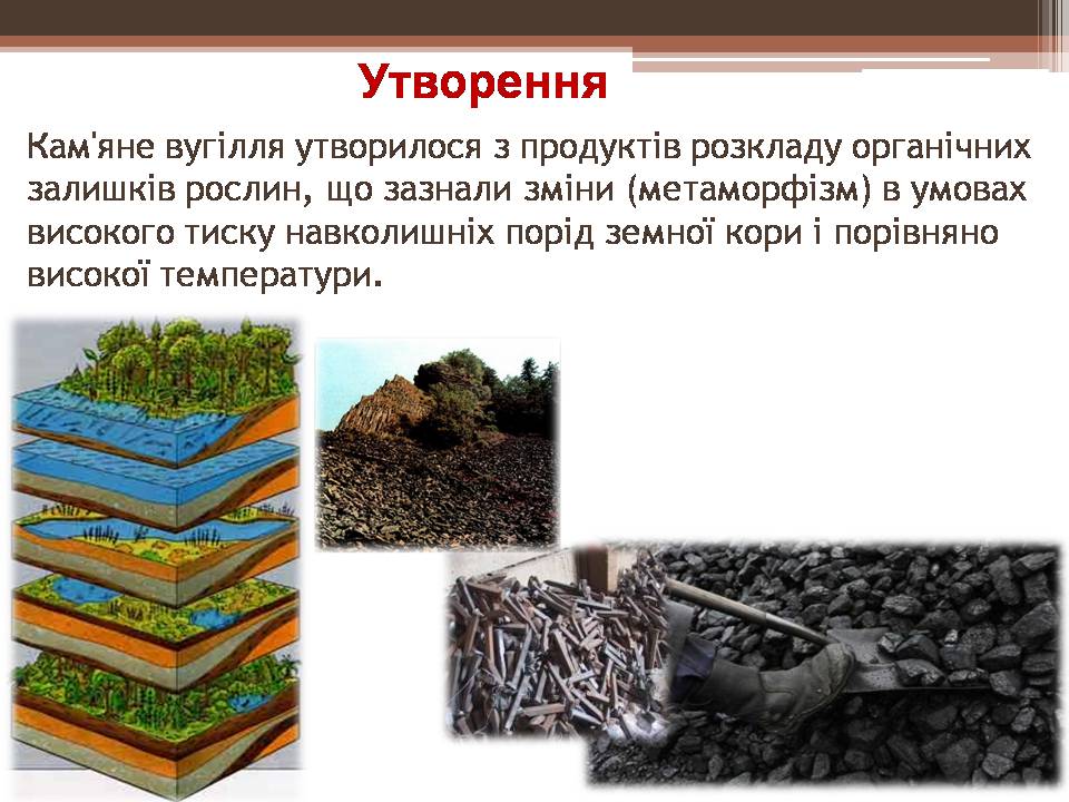 Презентація на тему «Кам’яне вугілля і продукти його переробки» - Слайд #5 Презентація на тему «Кам’яне вугілля і продукти його переробки» - Слайд #5