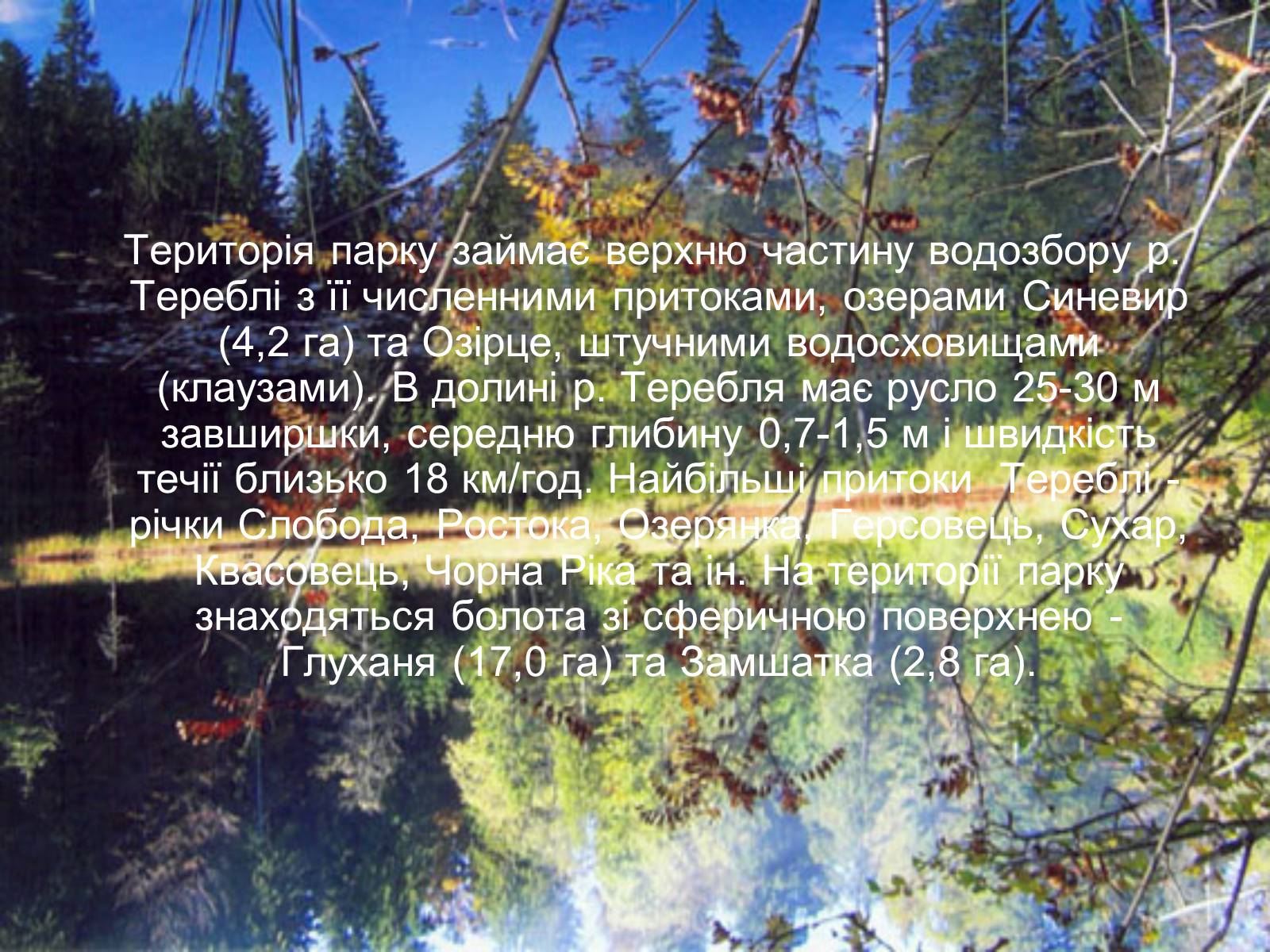 Презентація на тему «Національний природний парк “Синевир”» - Слайд #4 Презентація на тему «Національний природний парк “Синевир”» - Слайд #4